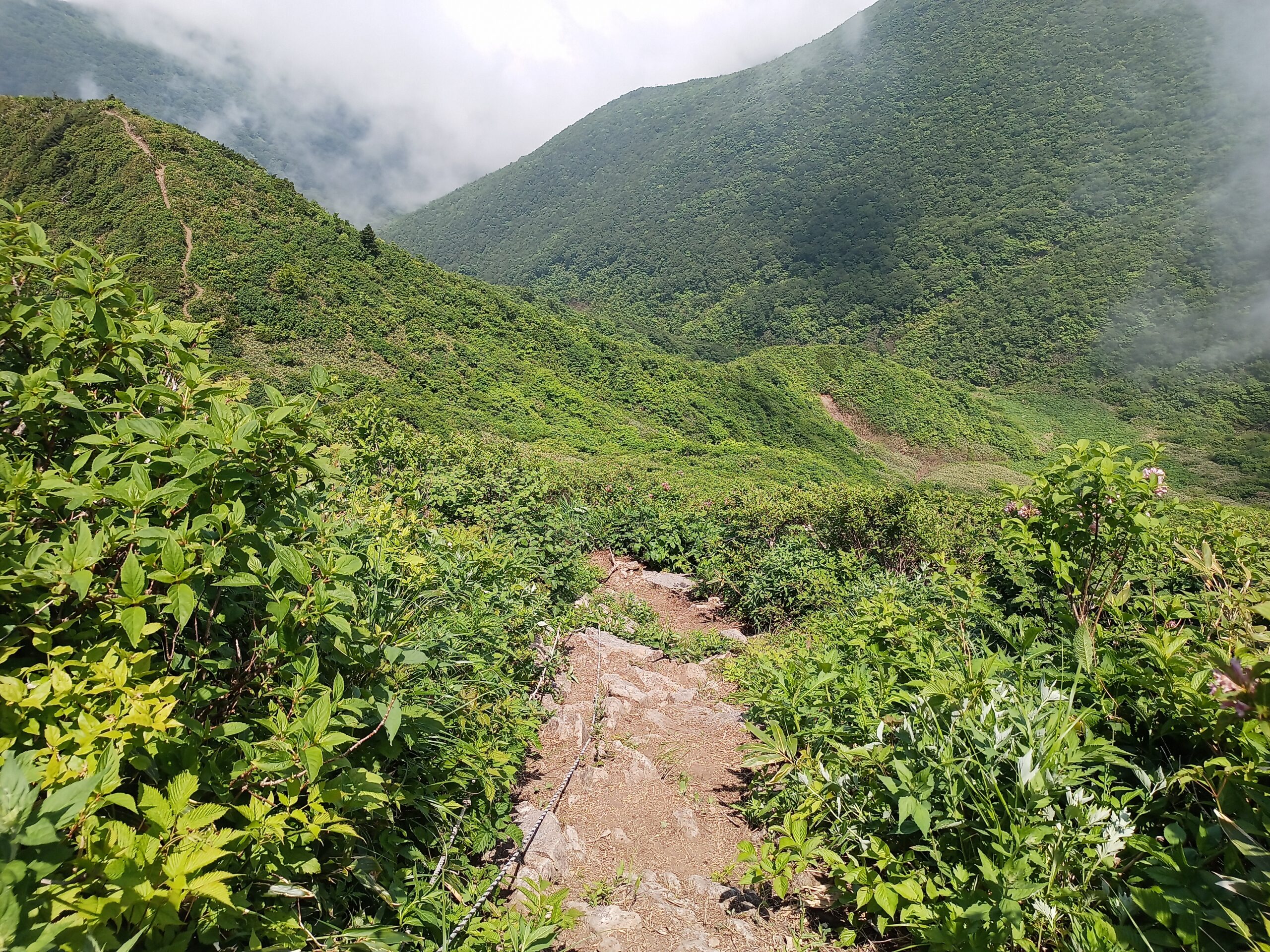 IMG_20240615_114606_122