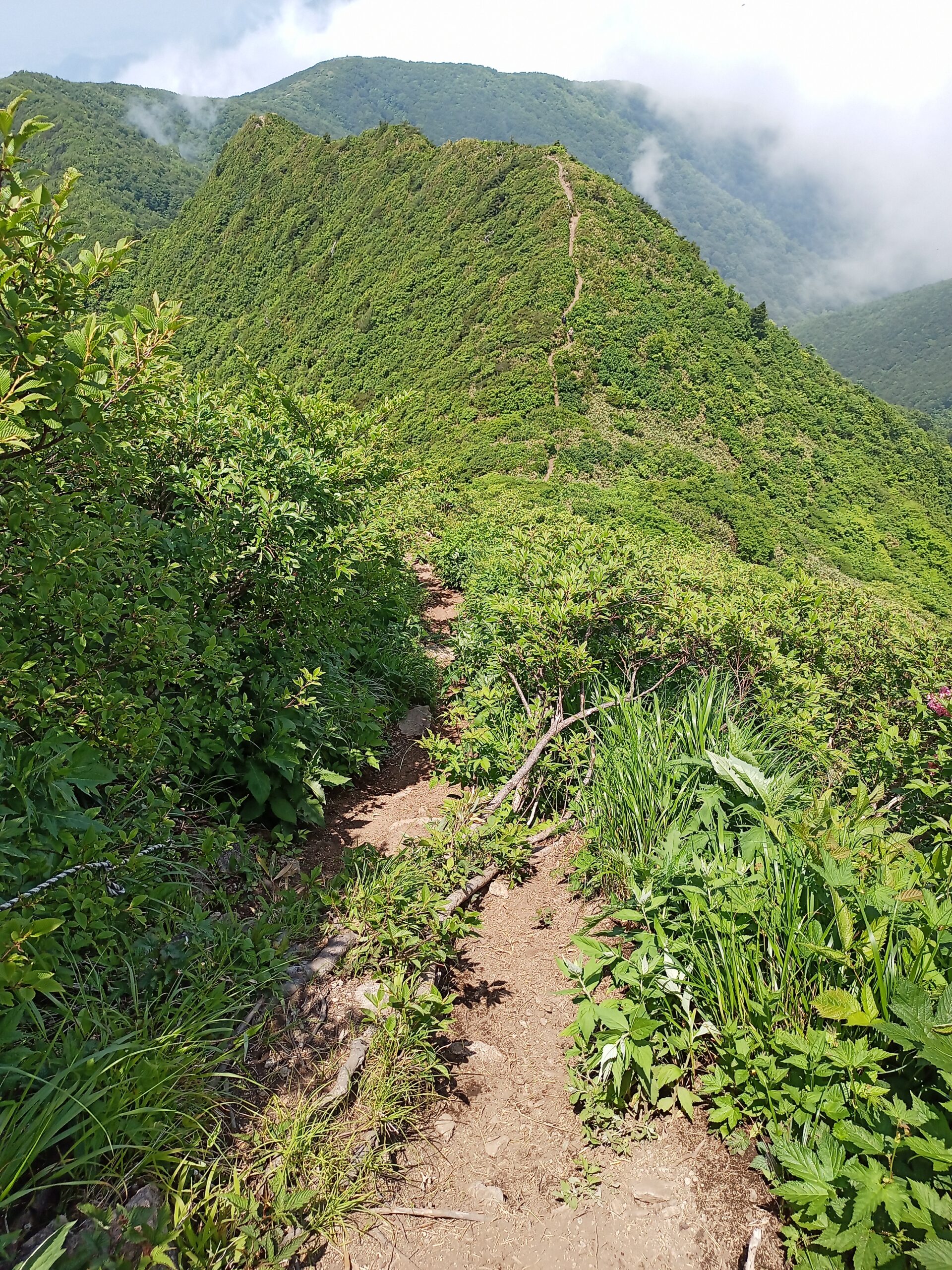 IMG_20240615_114735_593