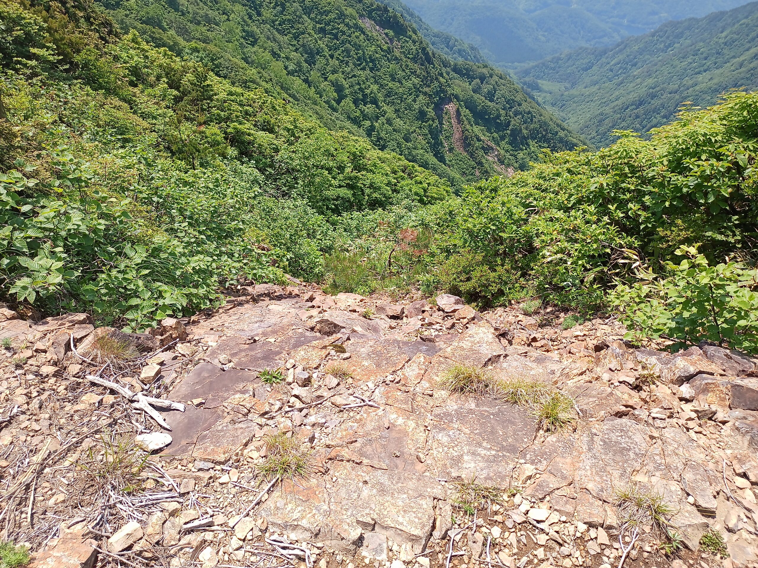 IMG_20240615_115836_710