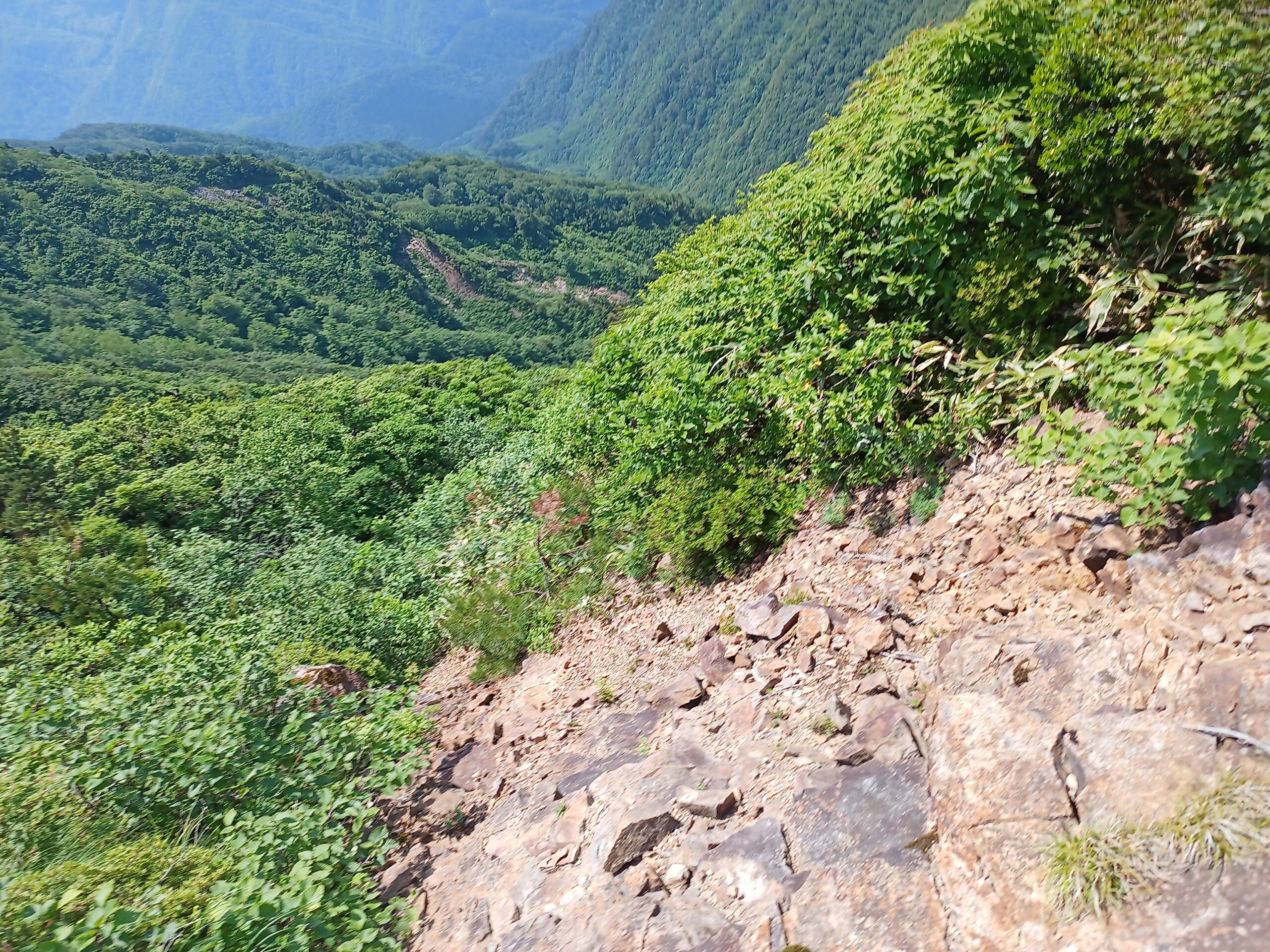 IMG_20240615_115842_410