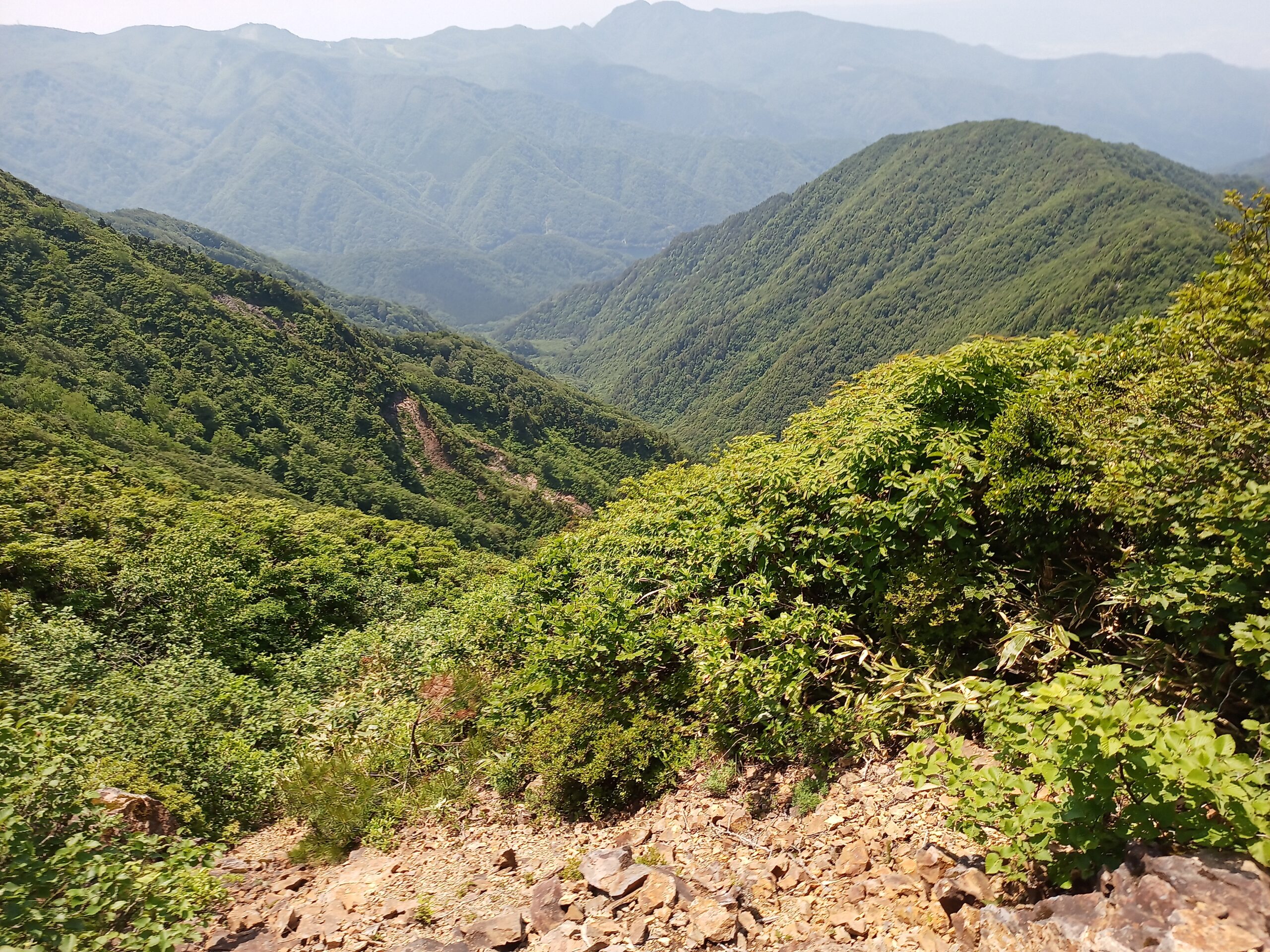 IMG_20240615_115847_571