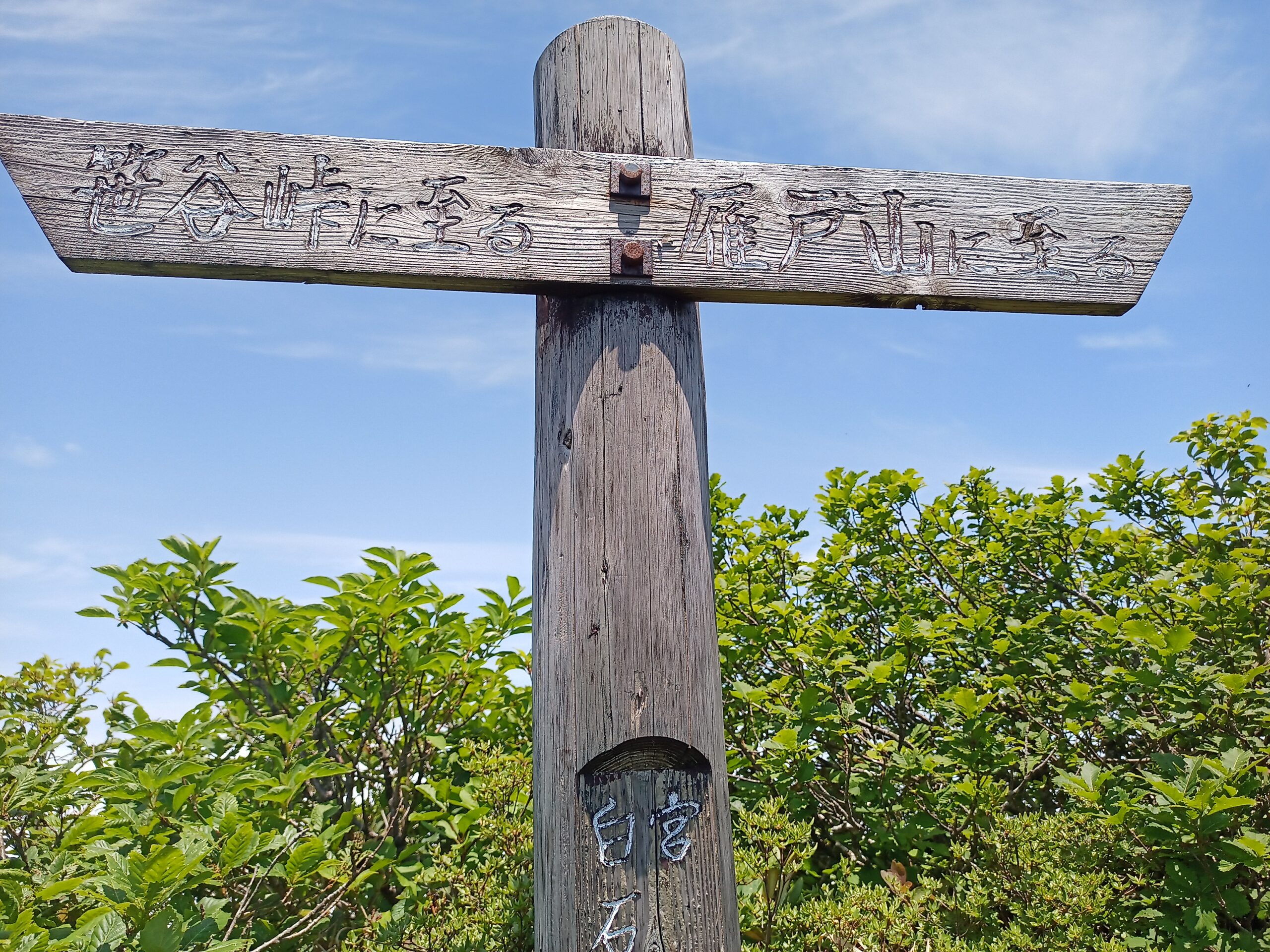 IMG_20240615_120059_356