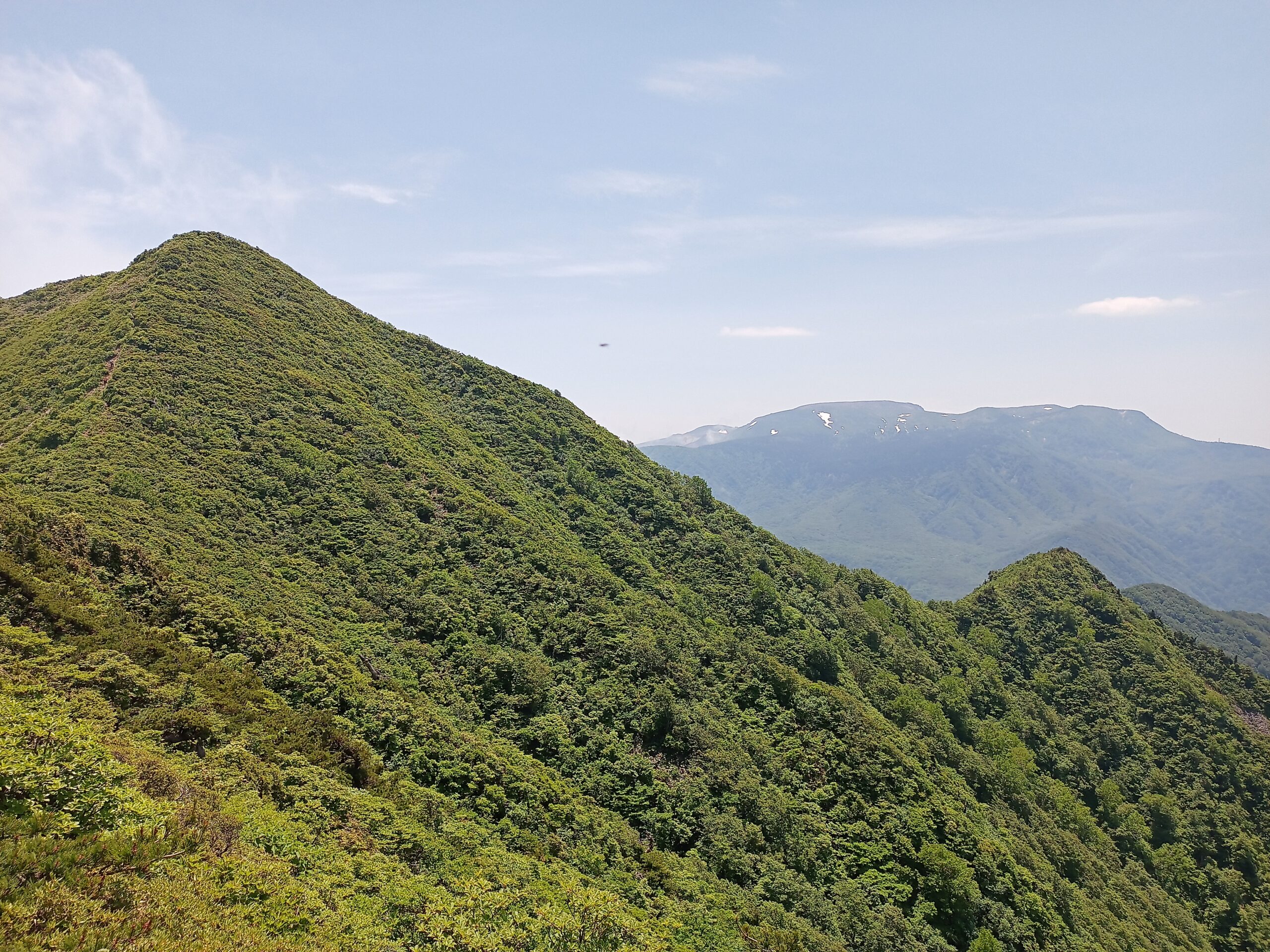 IMG_20240615_120125_399