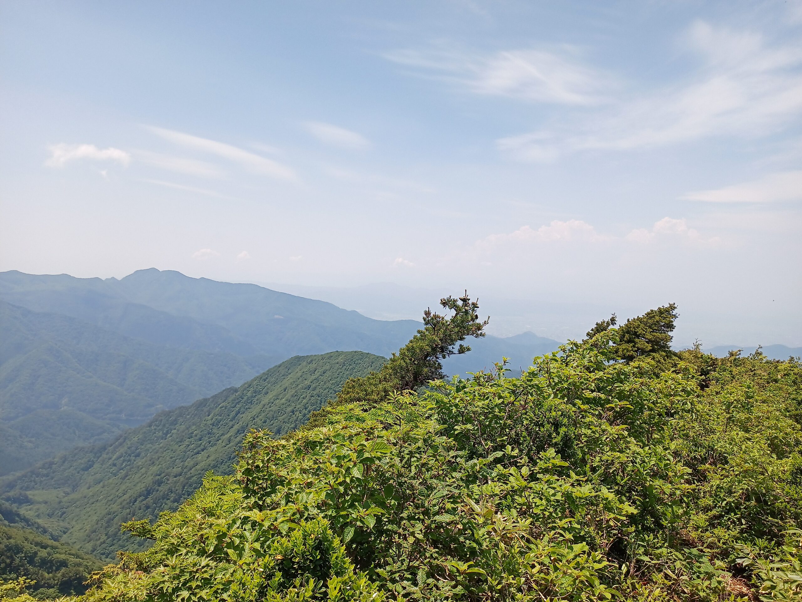 IMG_20240615_120131_196