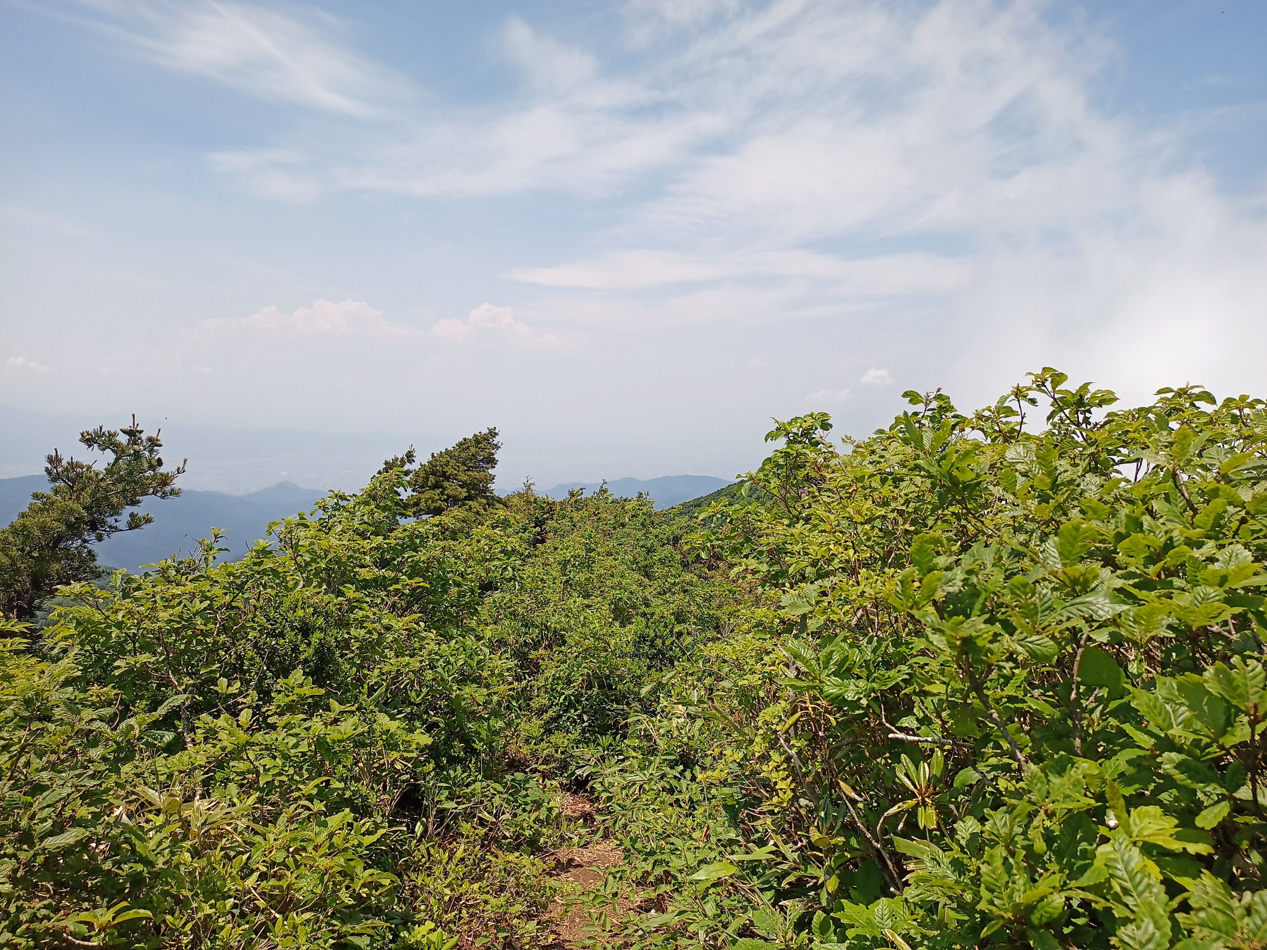 IMG_20240615_120133_785