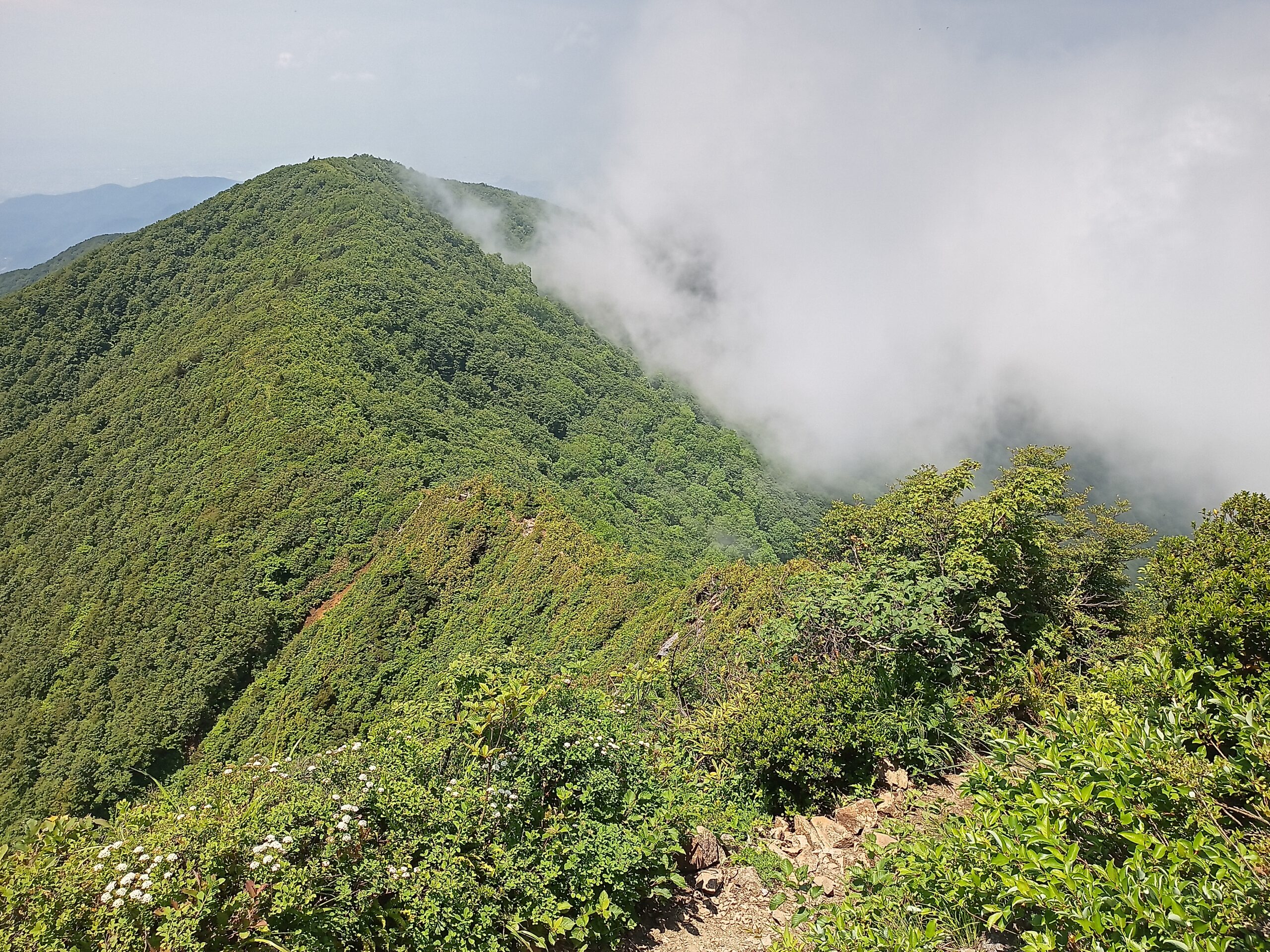 IMG_20240615_120614_103