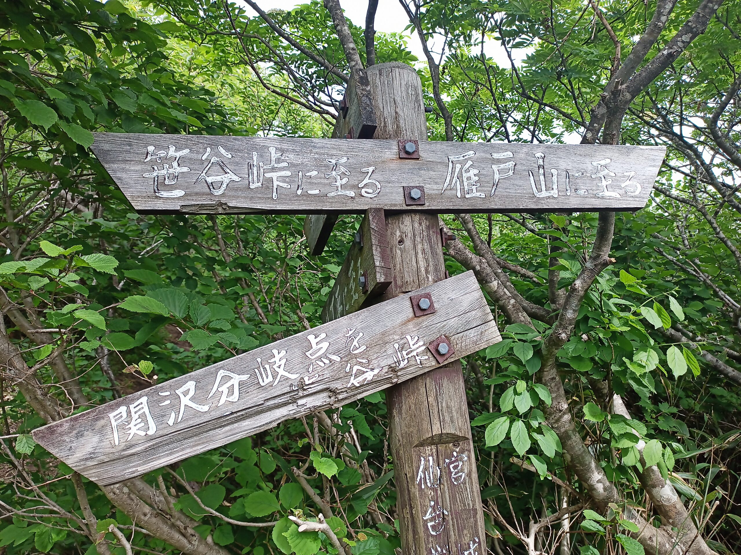 IMG_20240615_124914_480