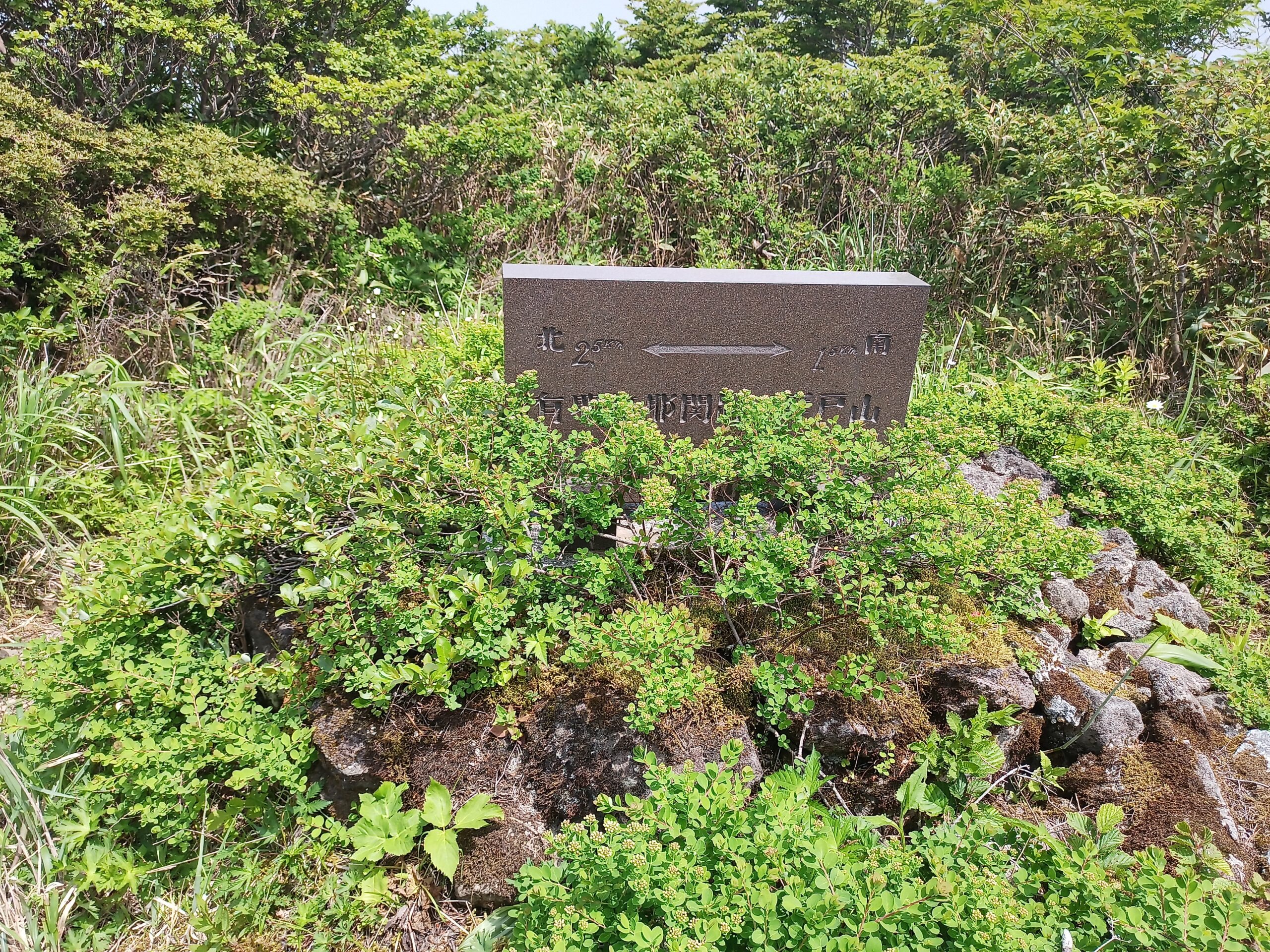 IMG_20240615_125255_835