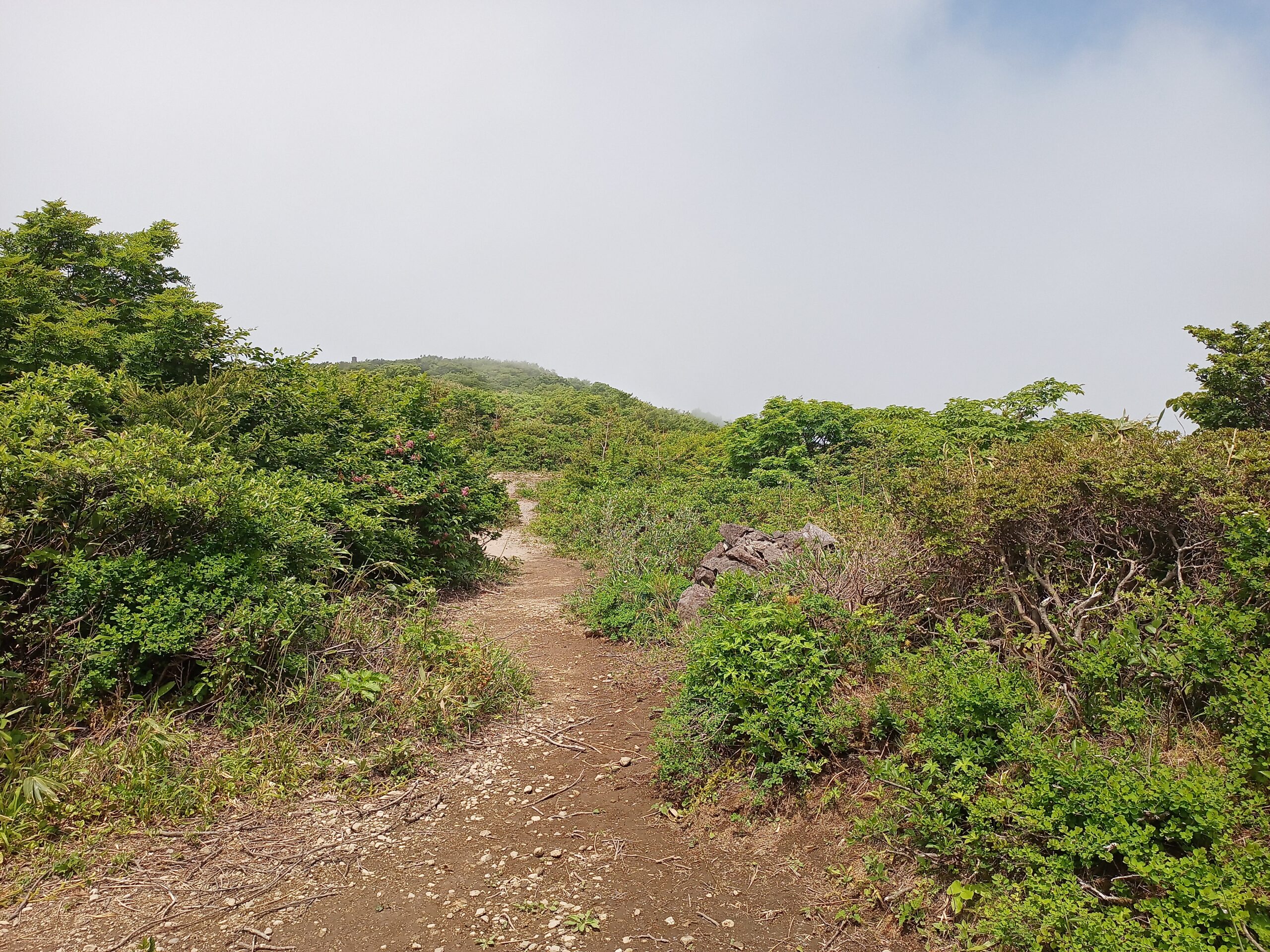 IMG_20240615_125258_931