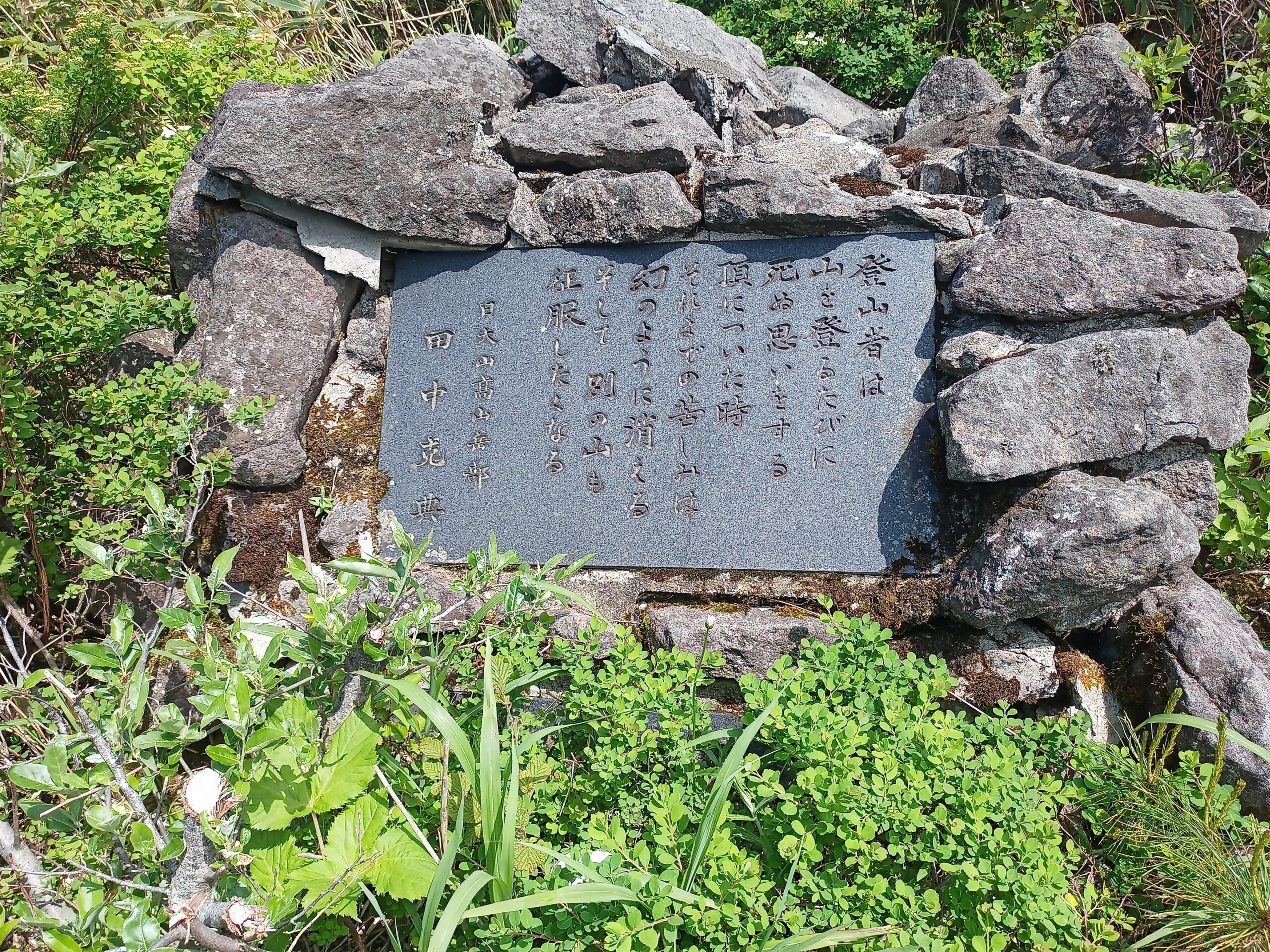 IMG_20240615_125331_878