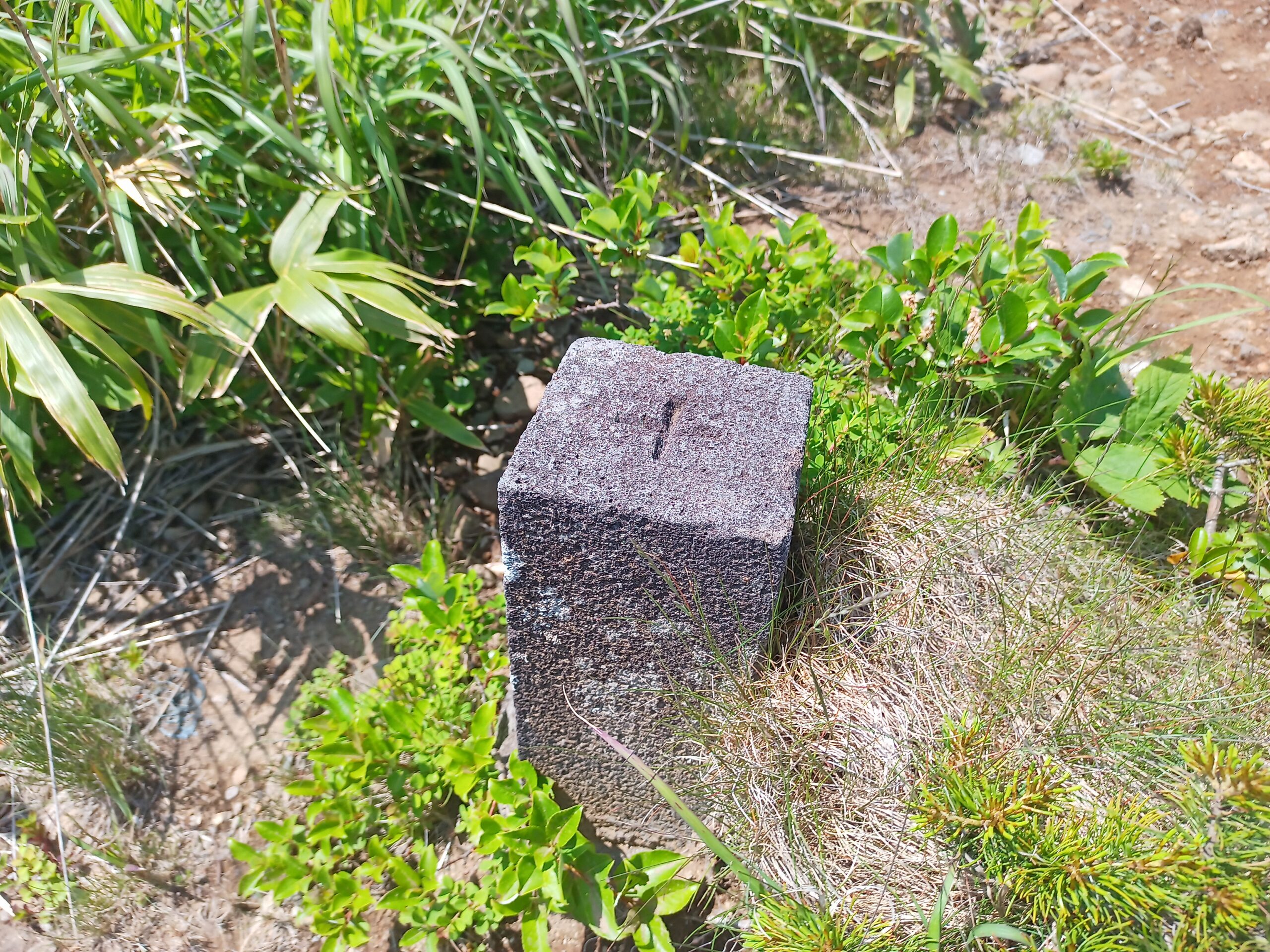 IMG_20240615_125759_959