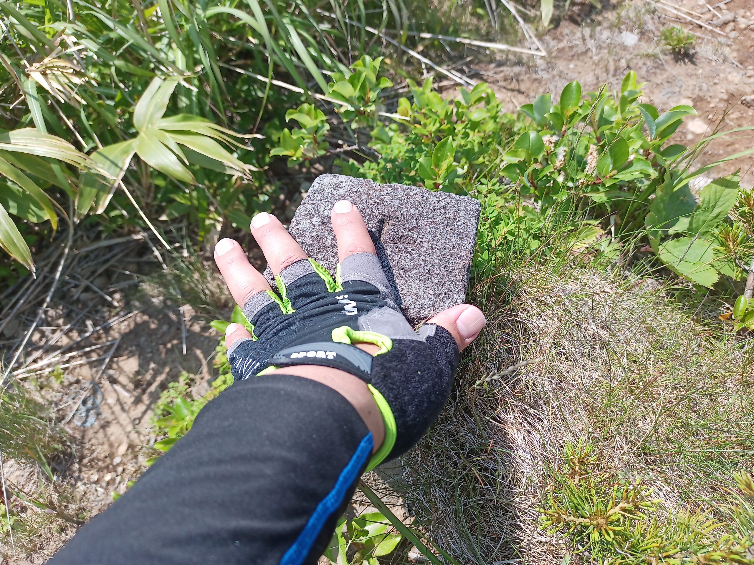 IMG_20240615_125806_535