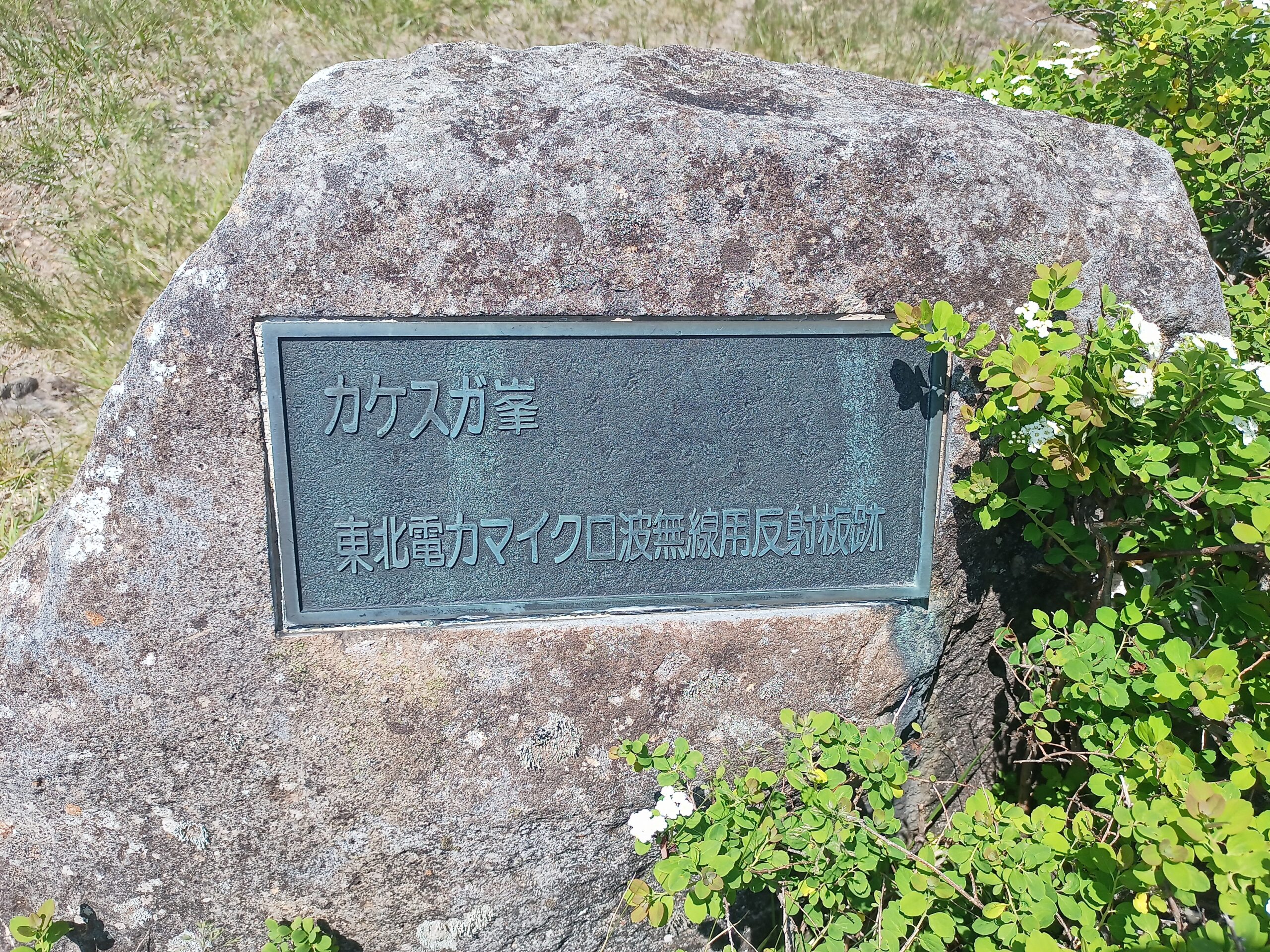 IMG_20240615_130024_004