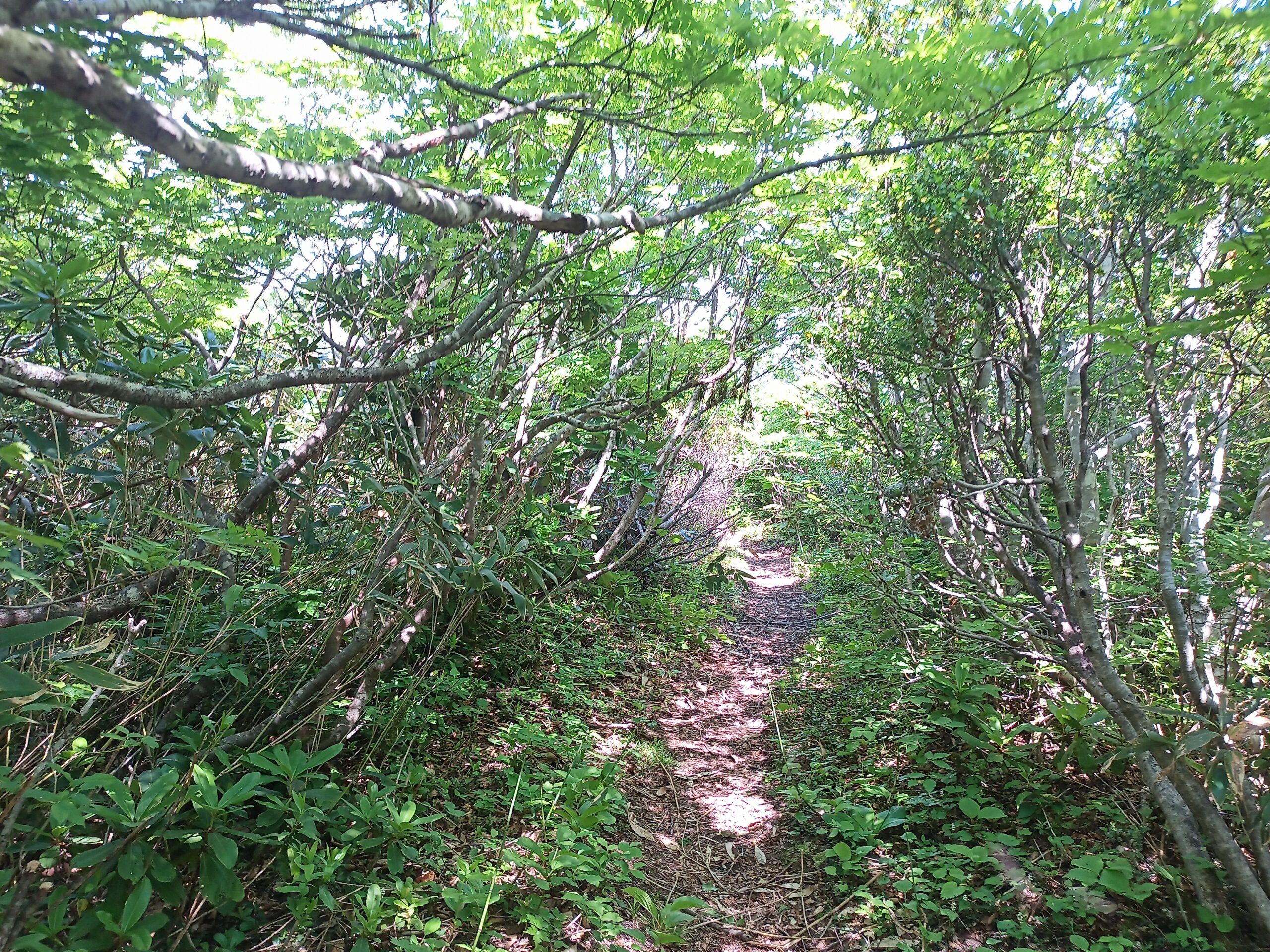 IMG_20240615_130947_015