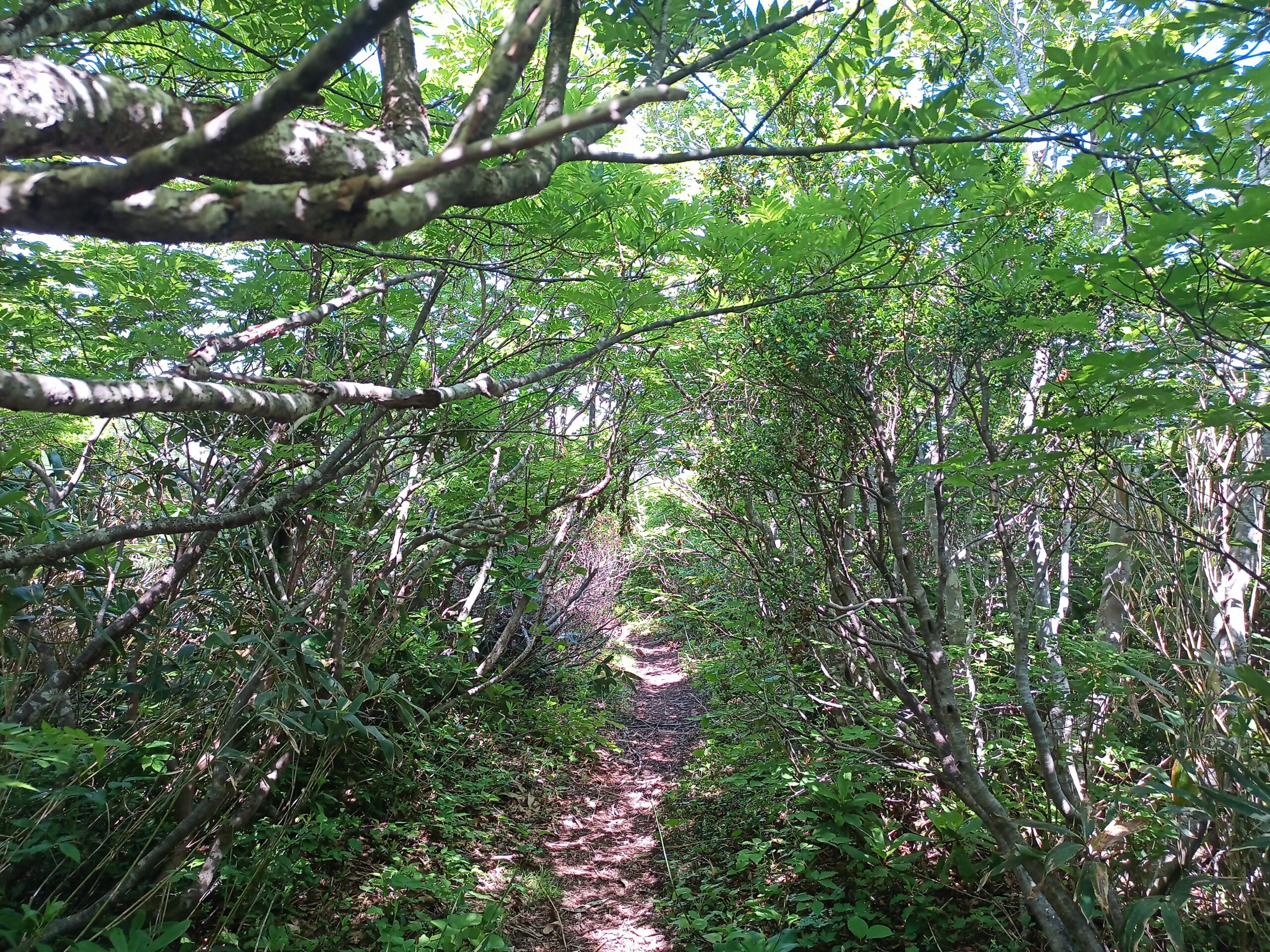 IMG_20240615_130950_075