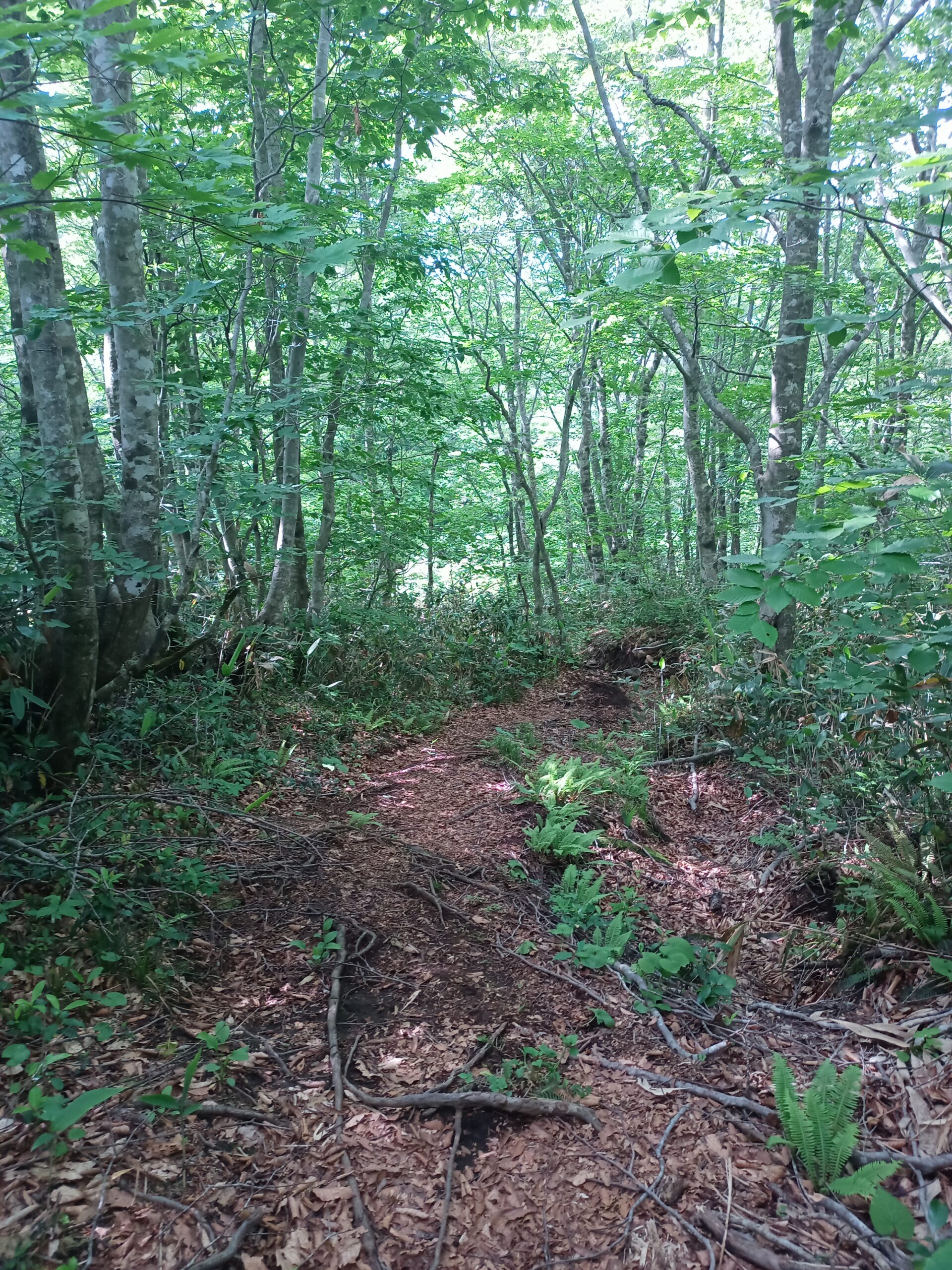 IMG_20240615_142100_875