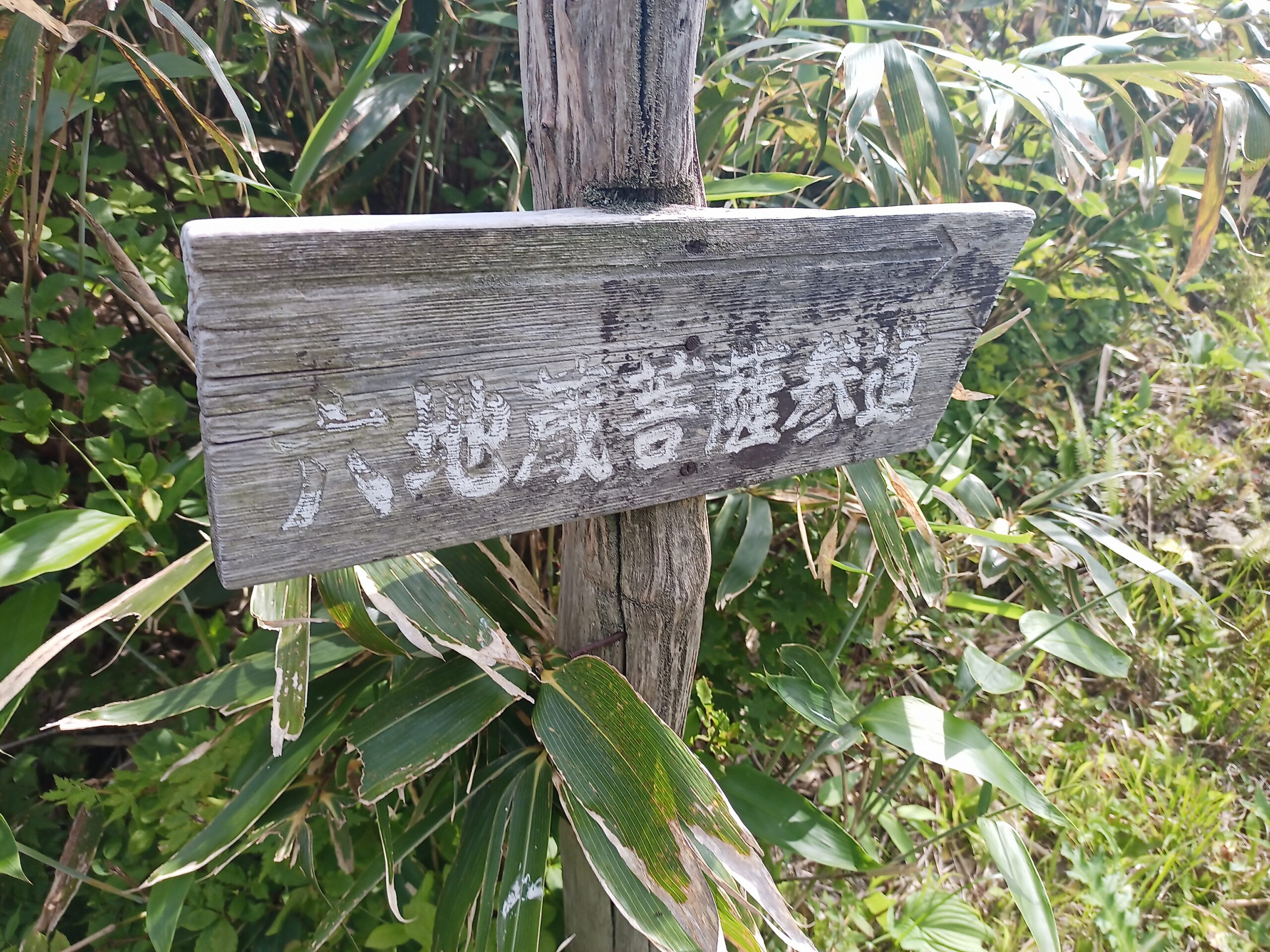 IMG_20240615_143428_287