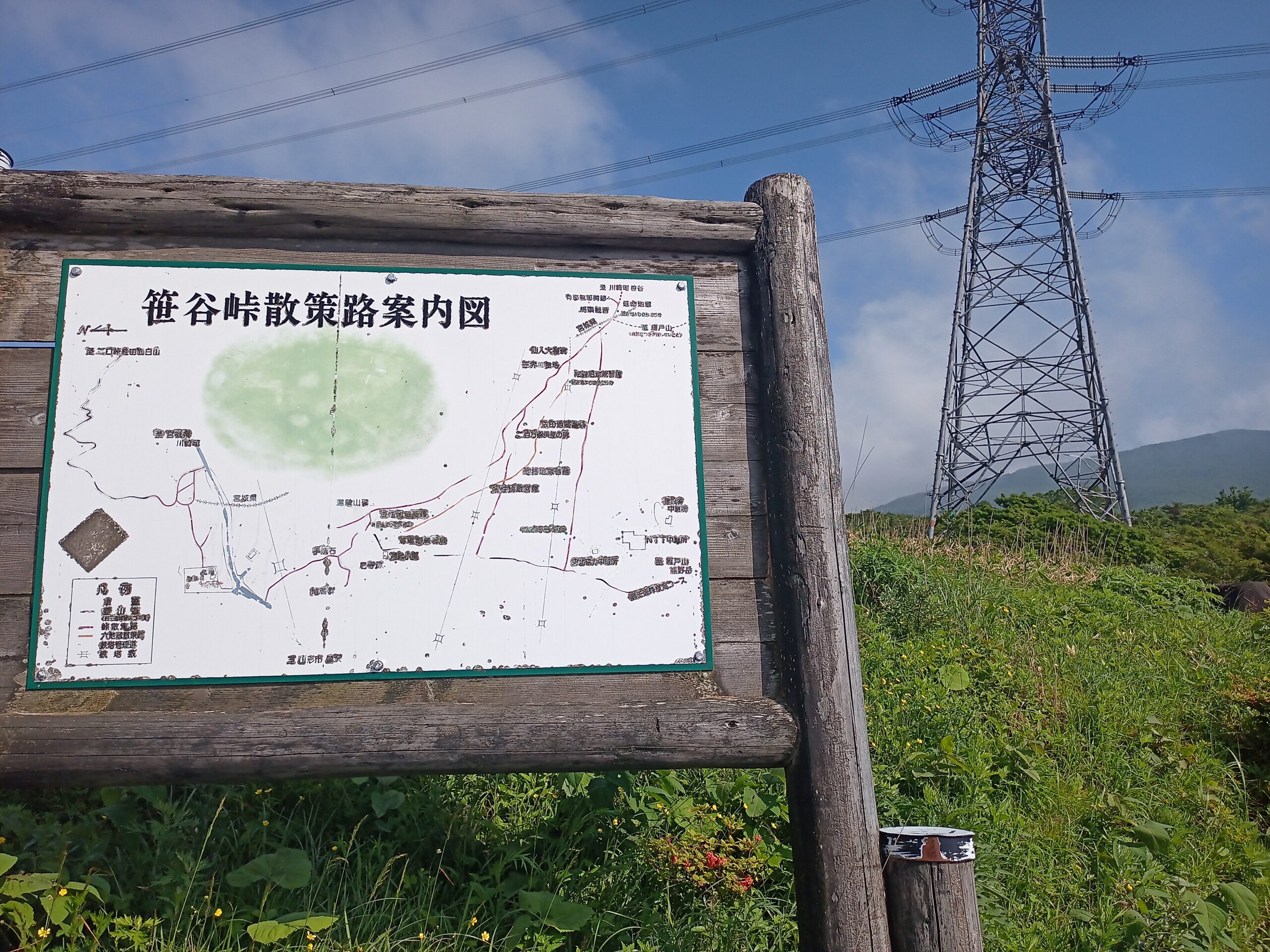 IMG_20240615_150136_770