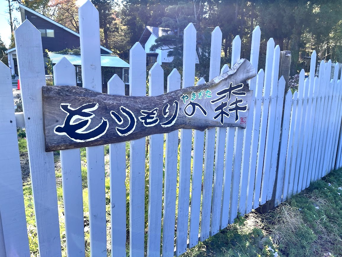 もりもりの森_27