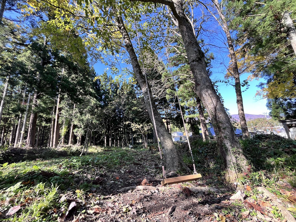 もりもりの森_22