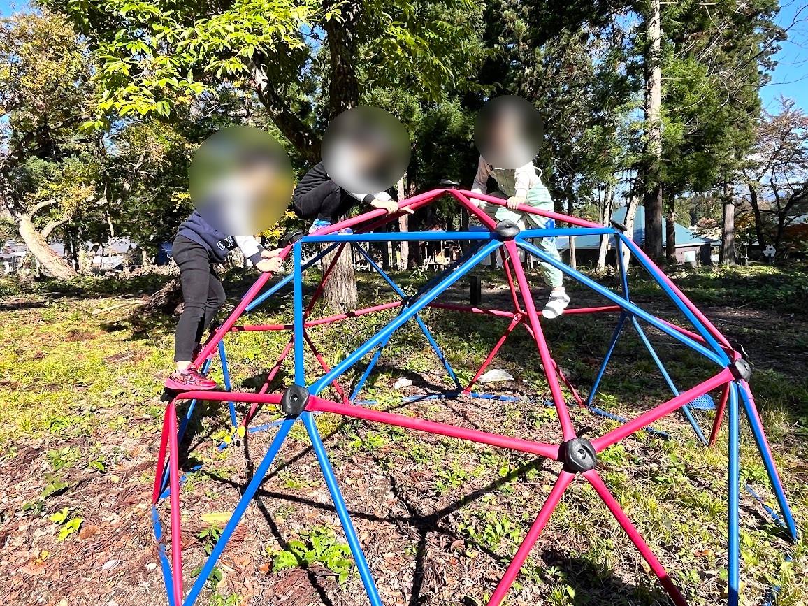 もりもりの森_12