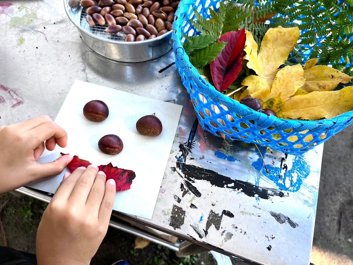 もりもりの森_15