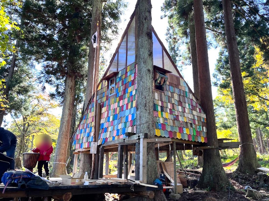 【山形新施設レポ】やまがたもりもりの森（長井市寺泉）｜プレオープン中の新施設！こころと体を満たす森でのんびり時間を