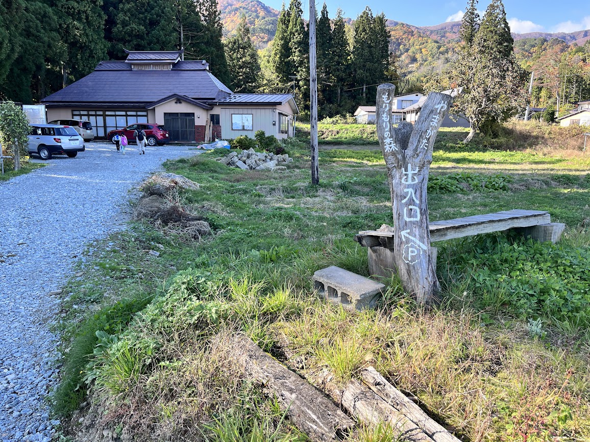 もりもりの森_26