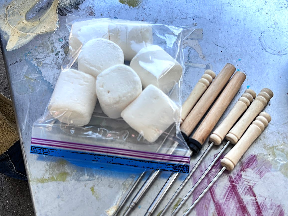 もりもりの森_18