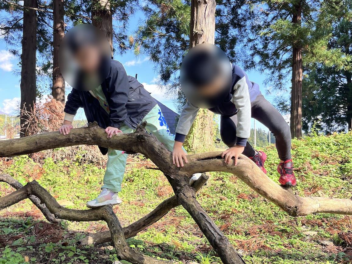 もりもりの森_21