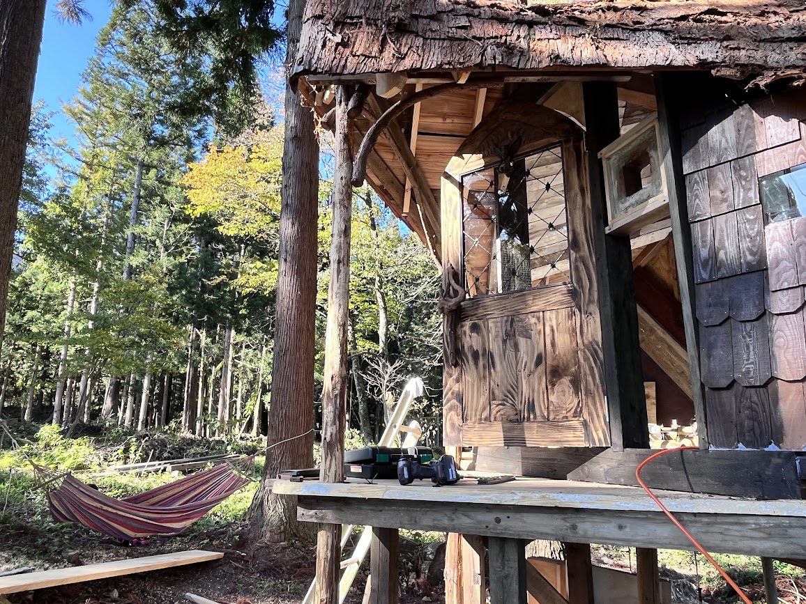 もりもりの森_7