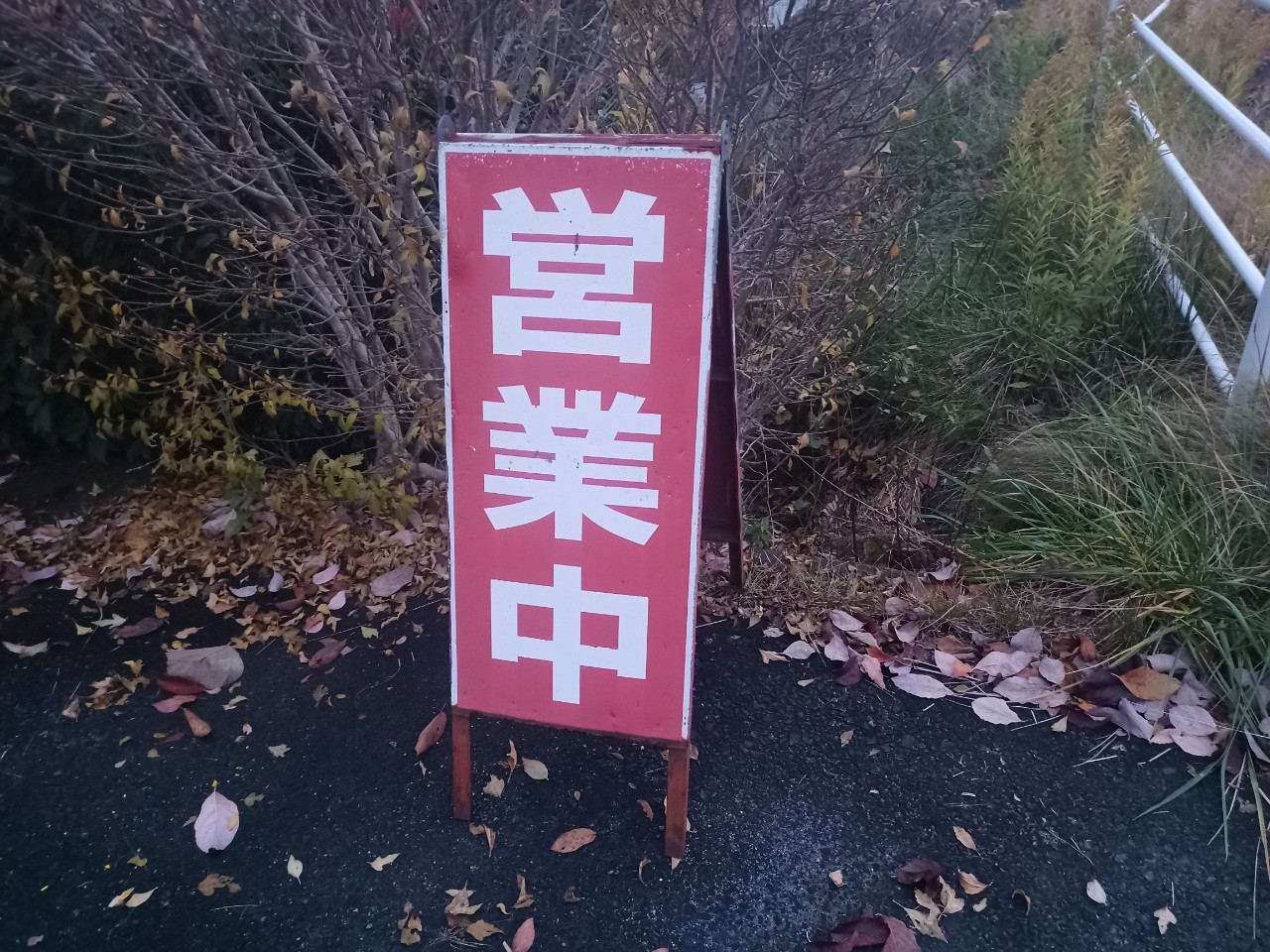 LINE_ALBUM_汽車ポッポ_241130_5