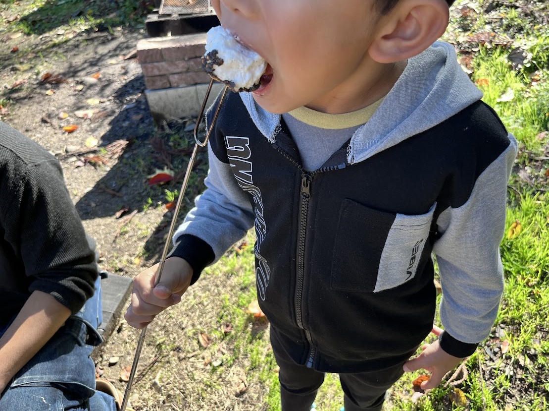 もりもりの森_17