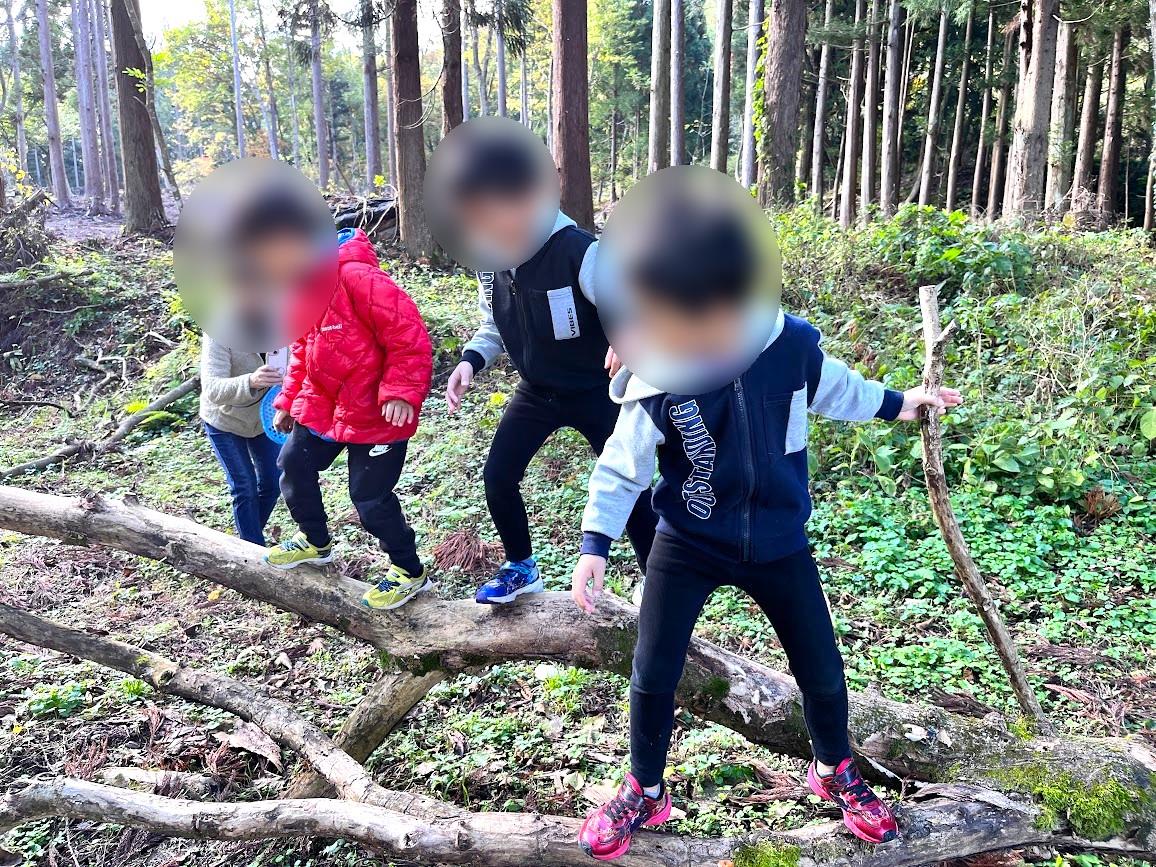 もりもりの森_20