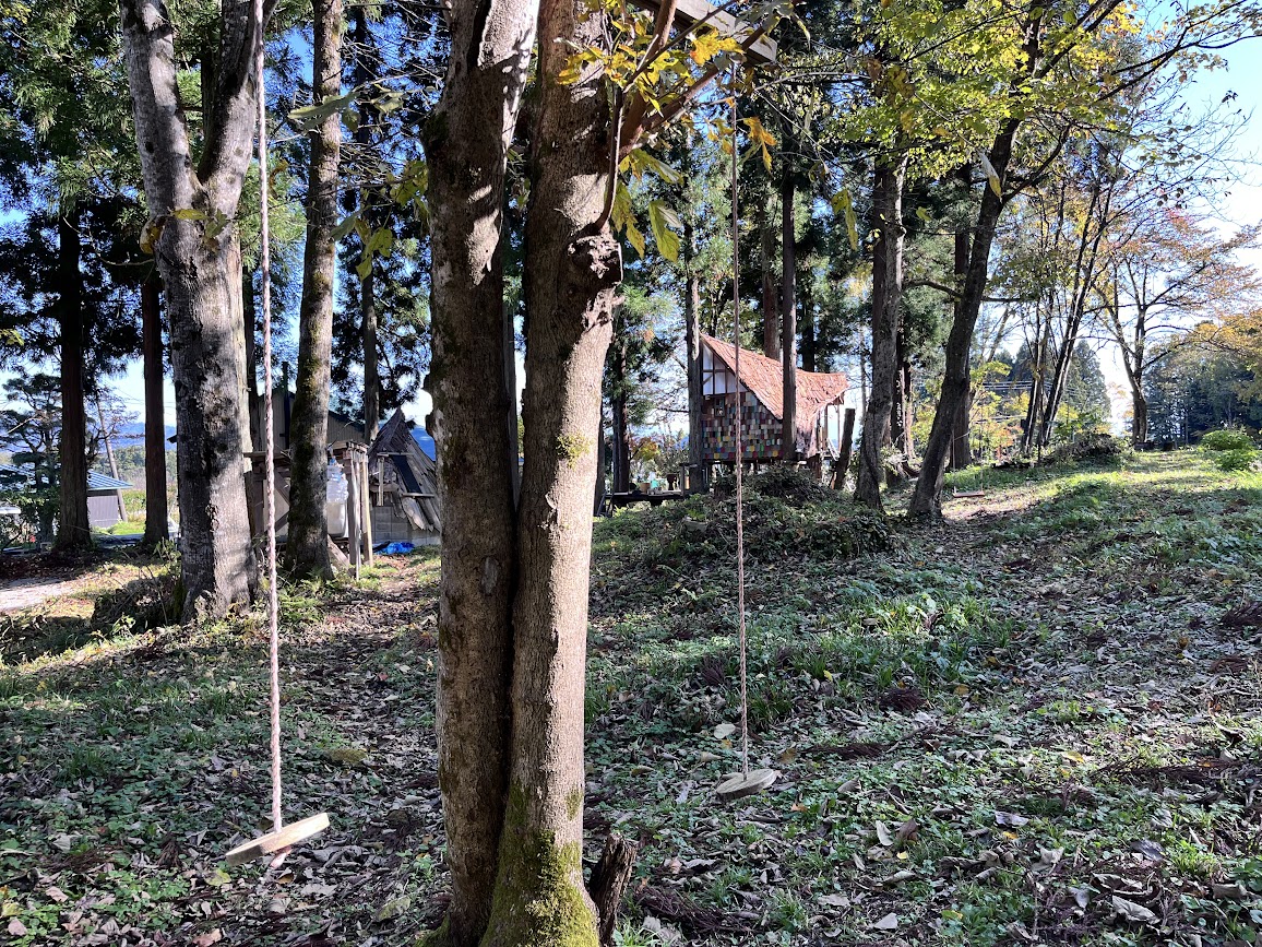 もりもりの森_23