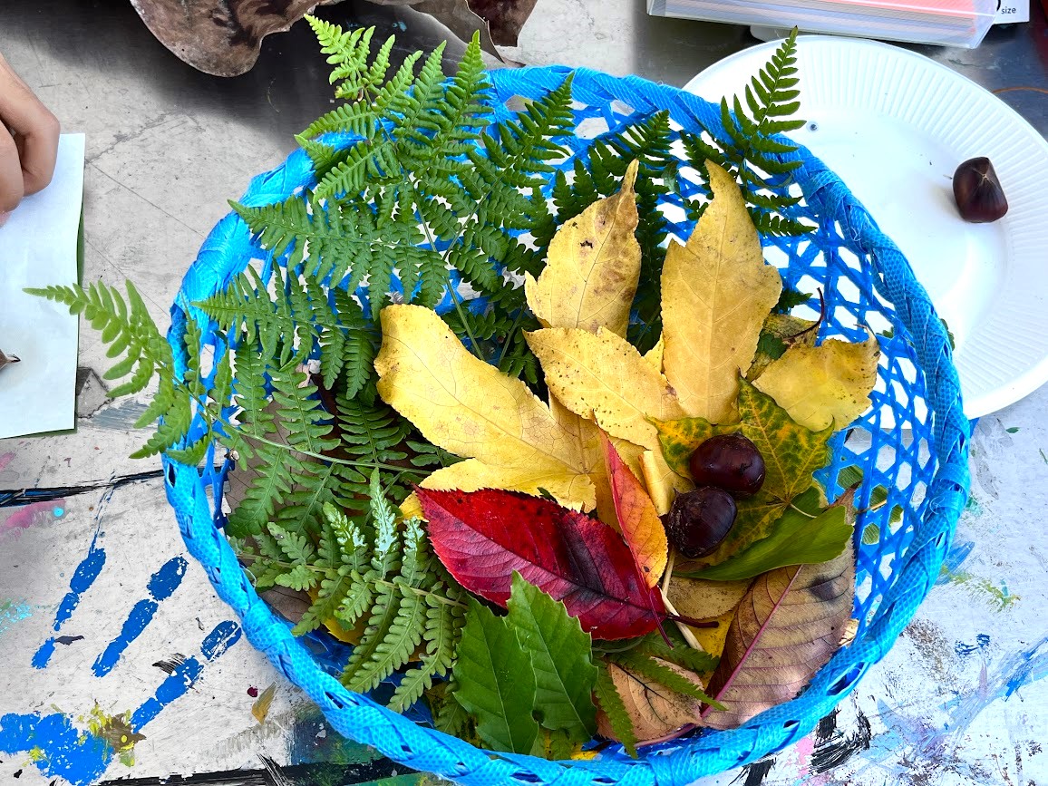 もりもりの森_14