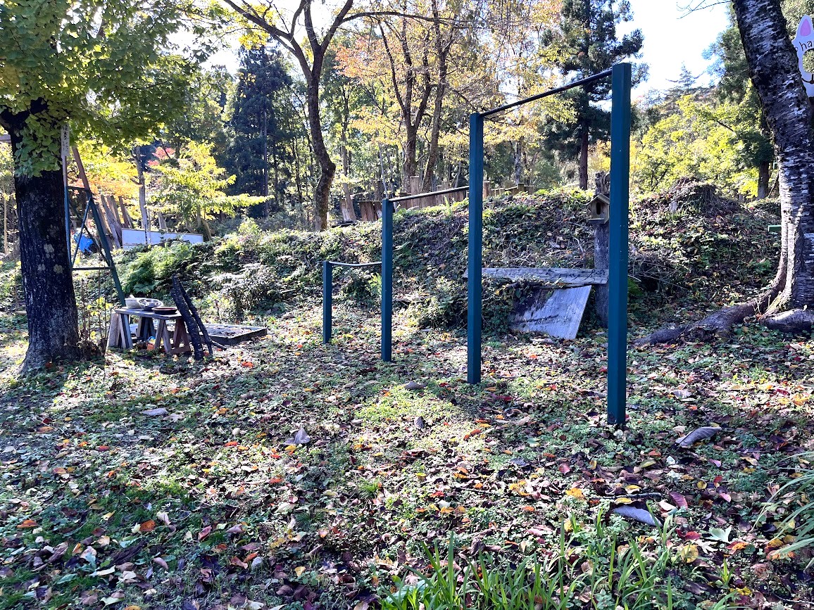 もりもりの森_11