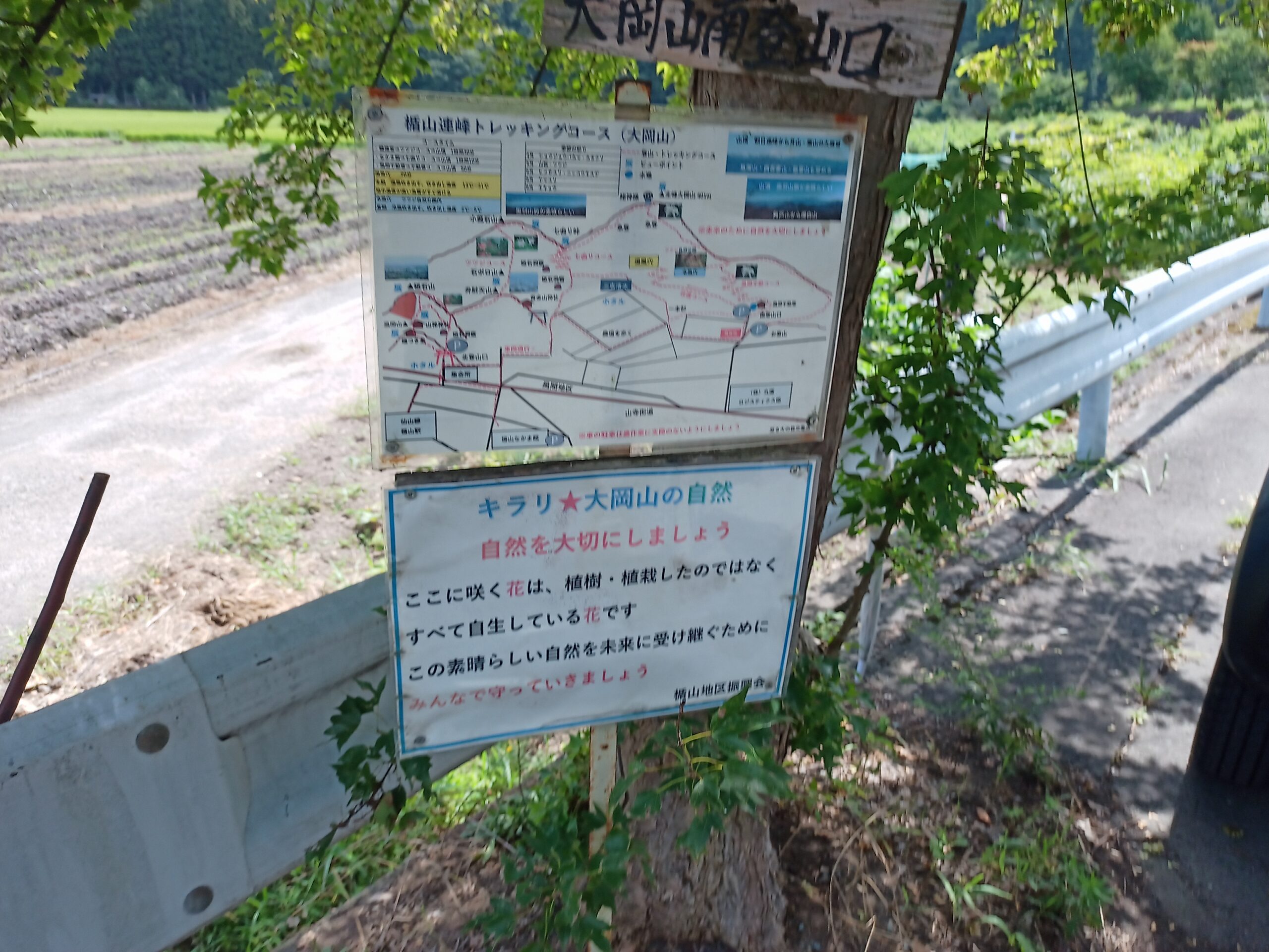 IMG_20230816_104012_305