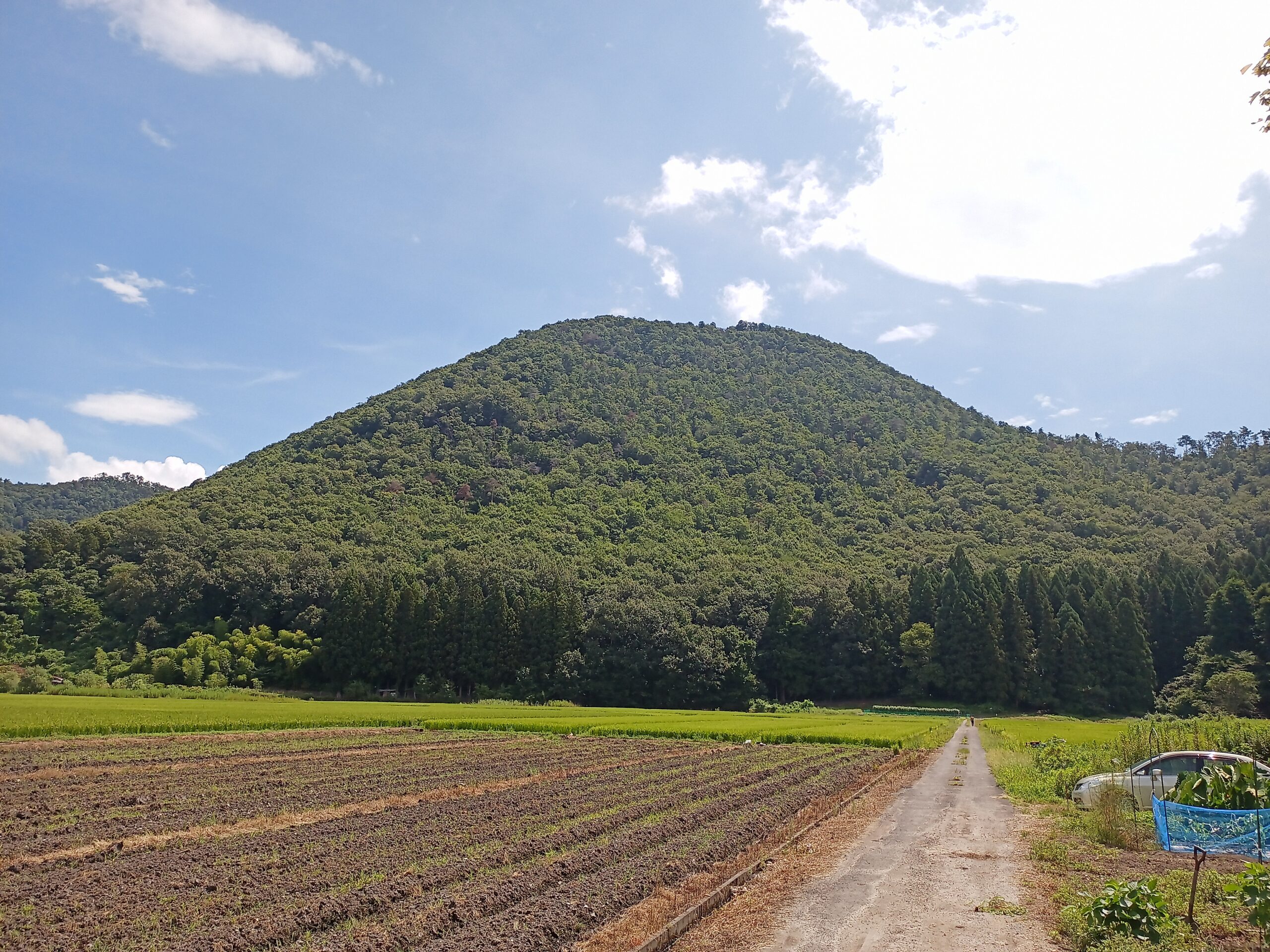 IMG_20230816_104117_439