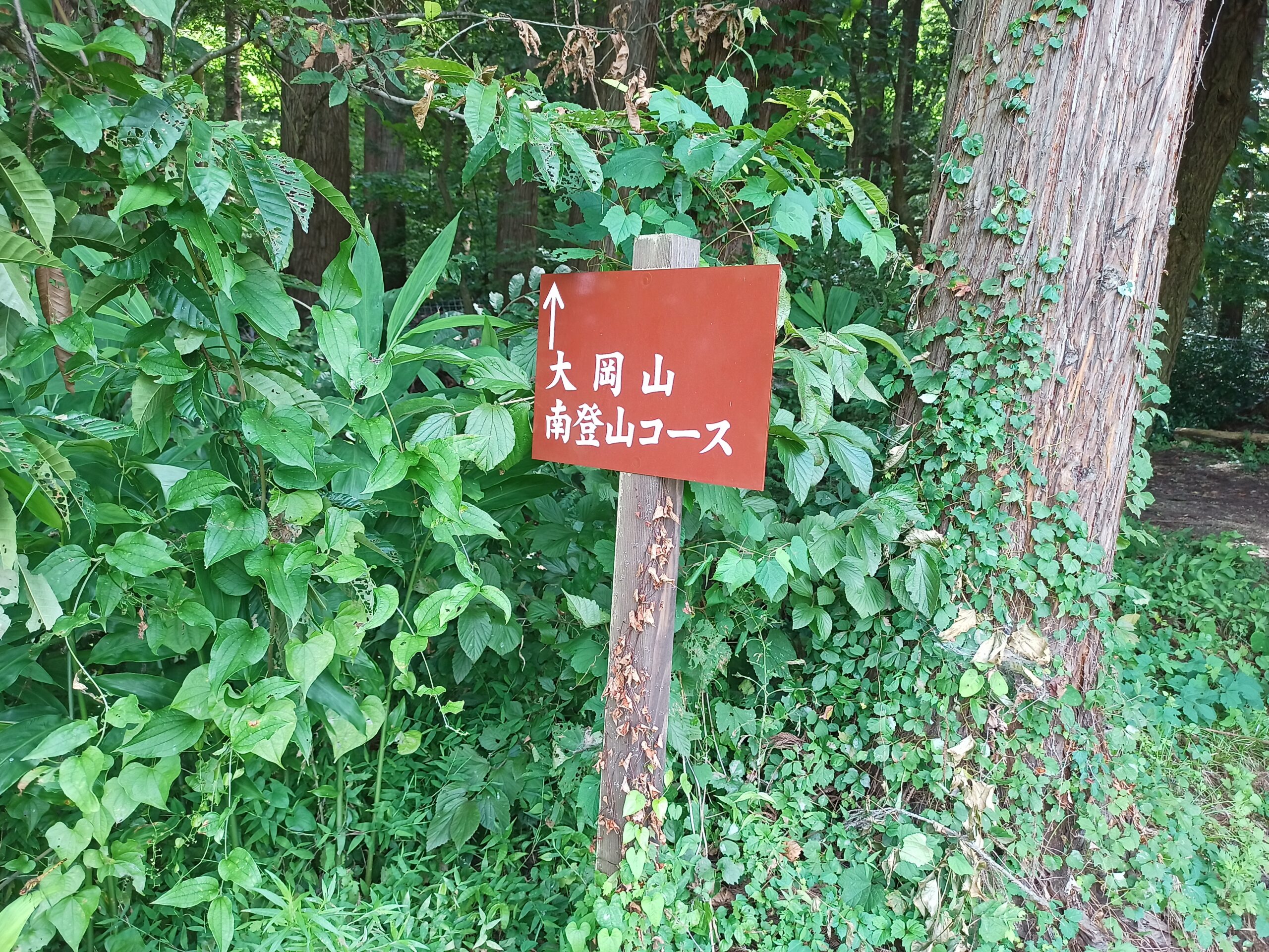 IMG_20230816_104515_553