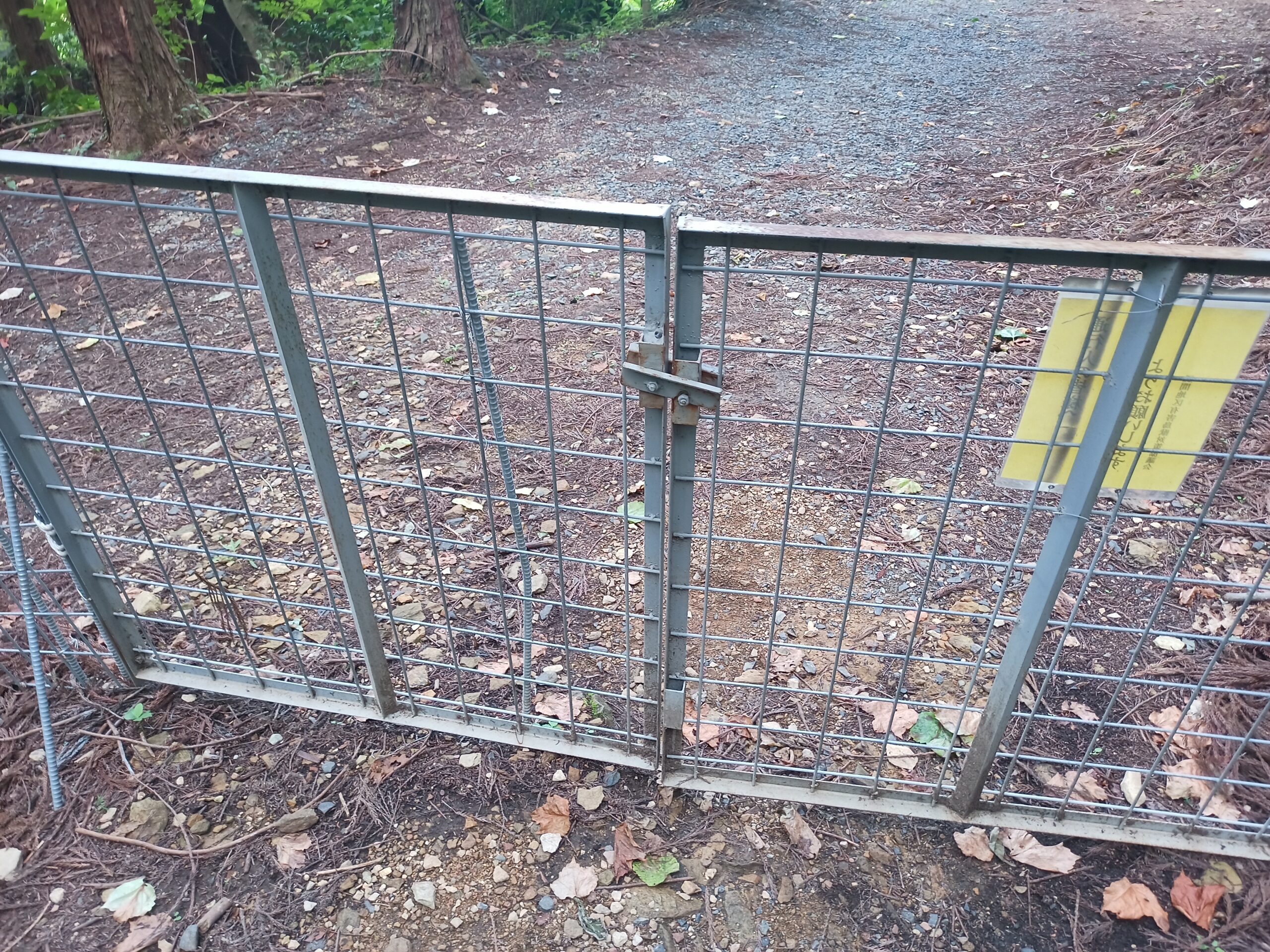 IMG_20230816_105226_767