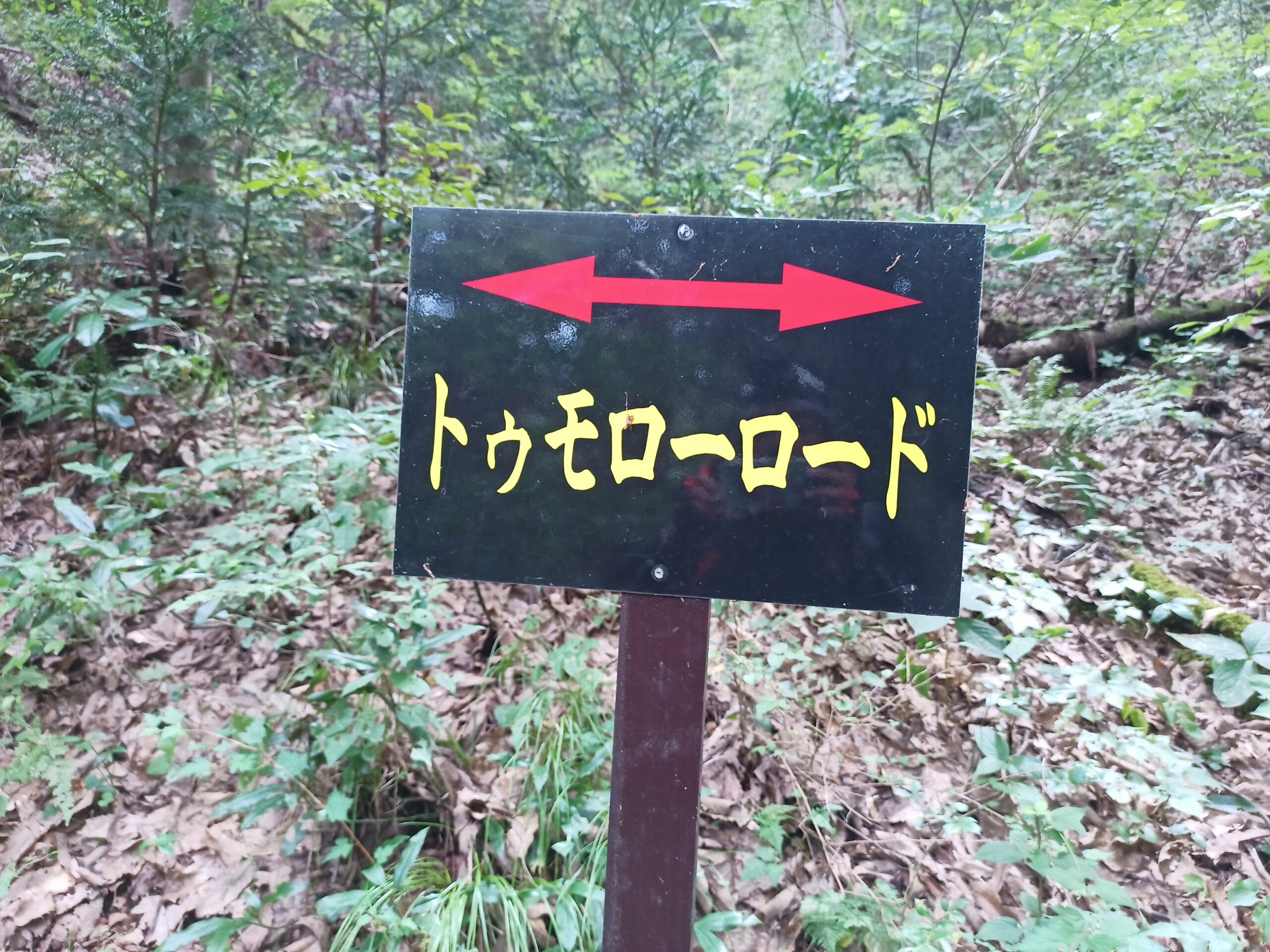 IMG_20230816_110115_457