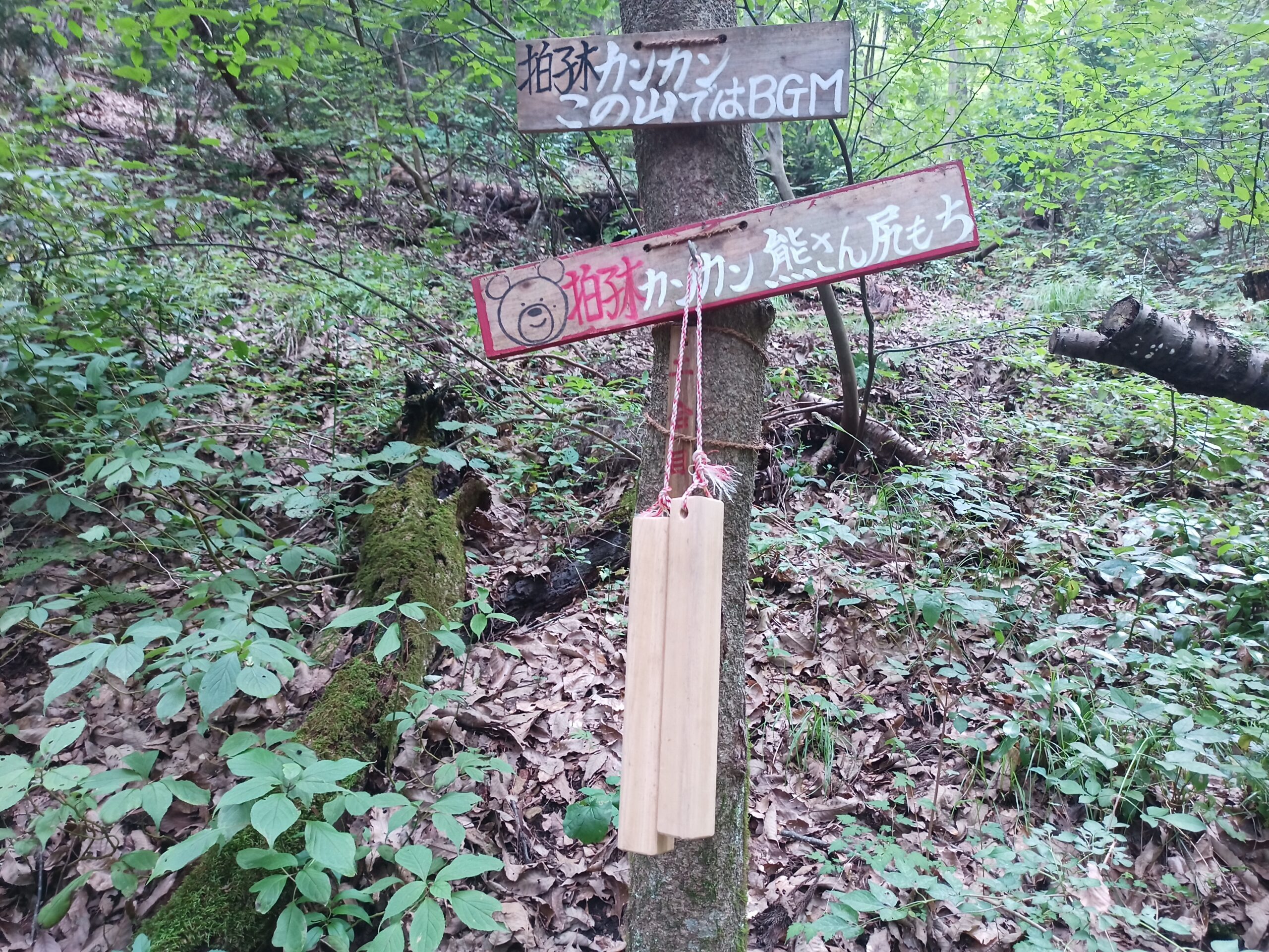 IMG_20230816_110125_848