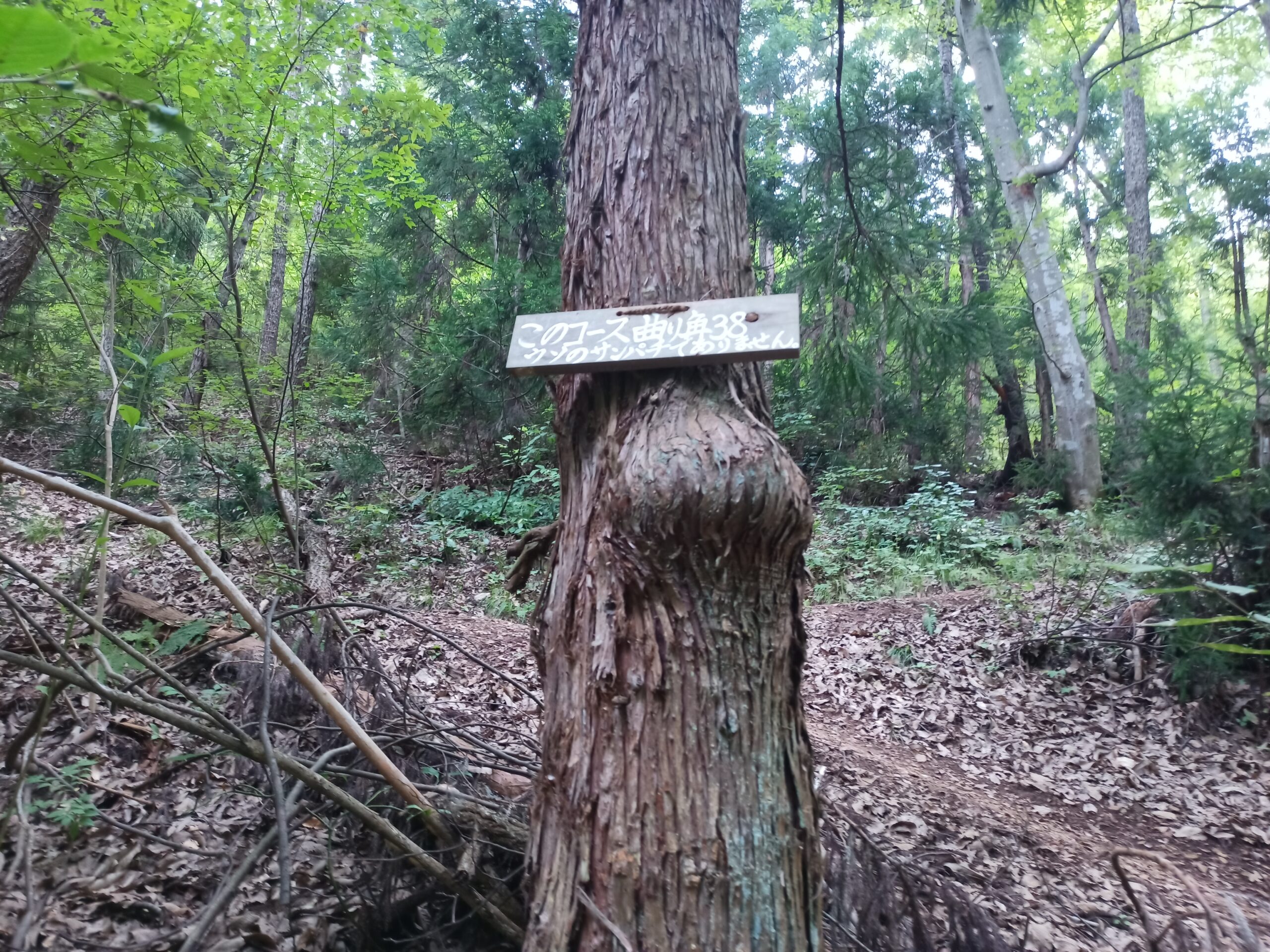 IMG_20230816_110253_179