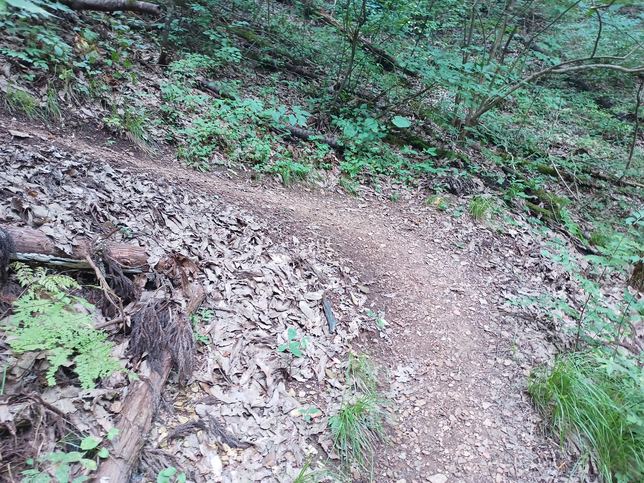 IMG_20230816_110256_483