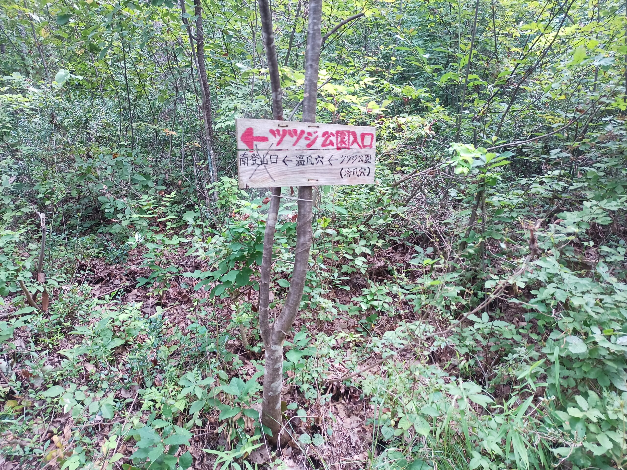 IMG_20230816_111431_590