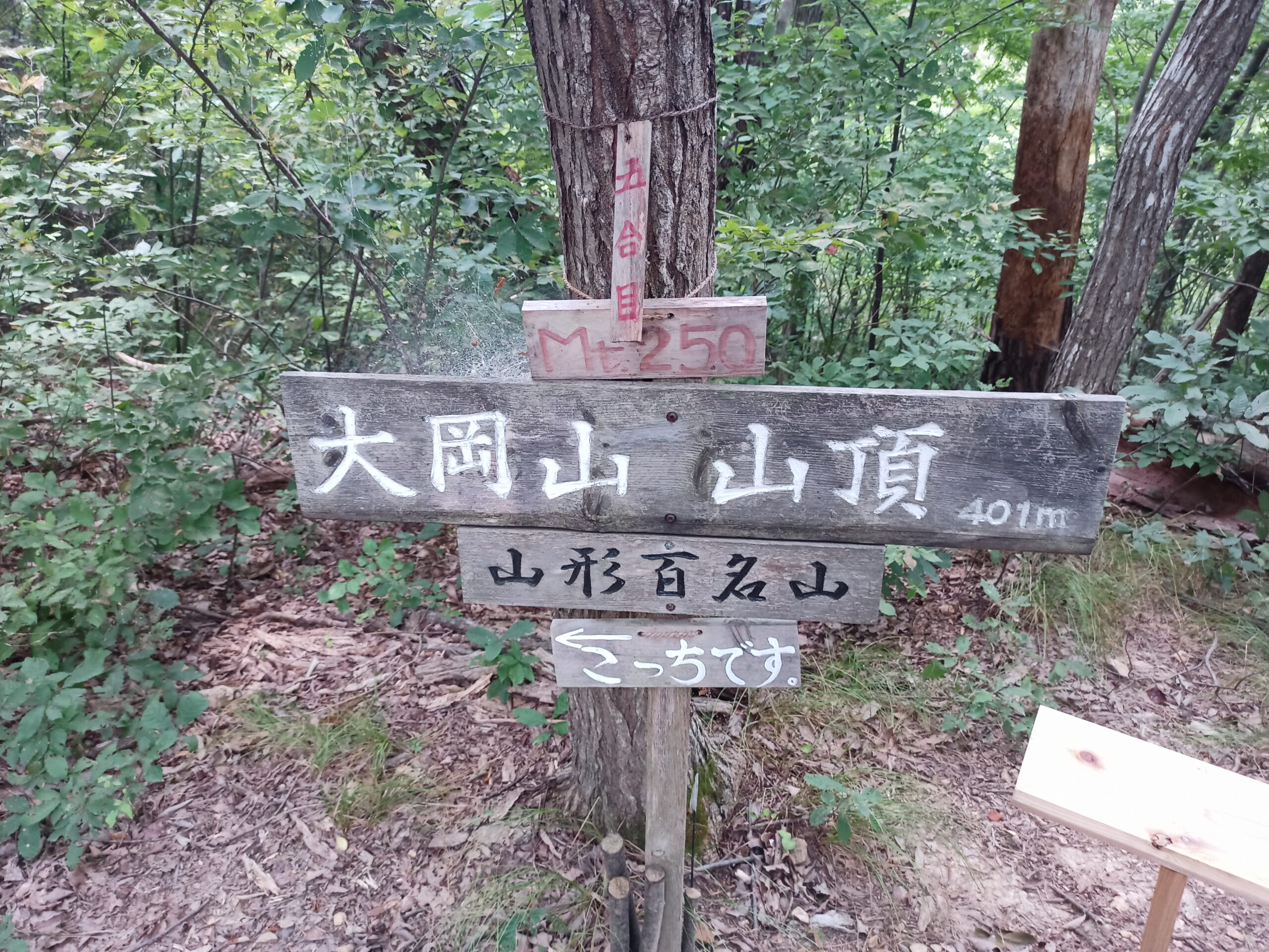 IMG_20230816_111559_211