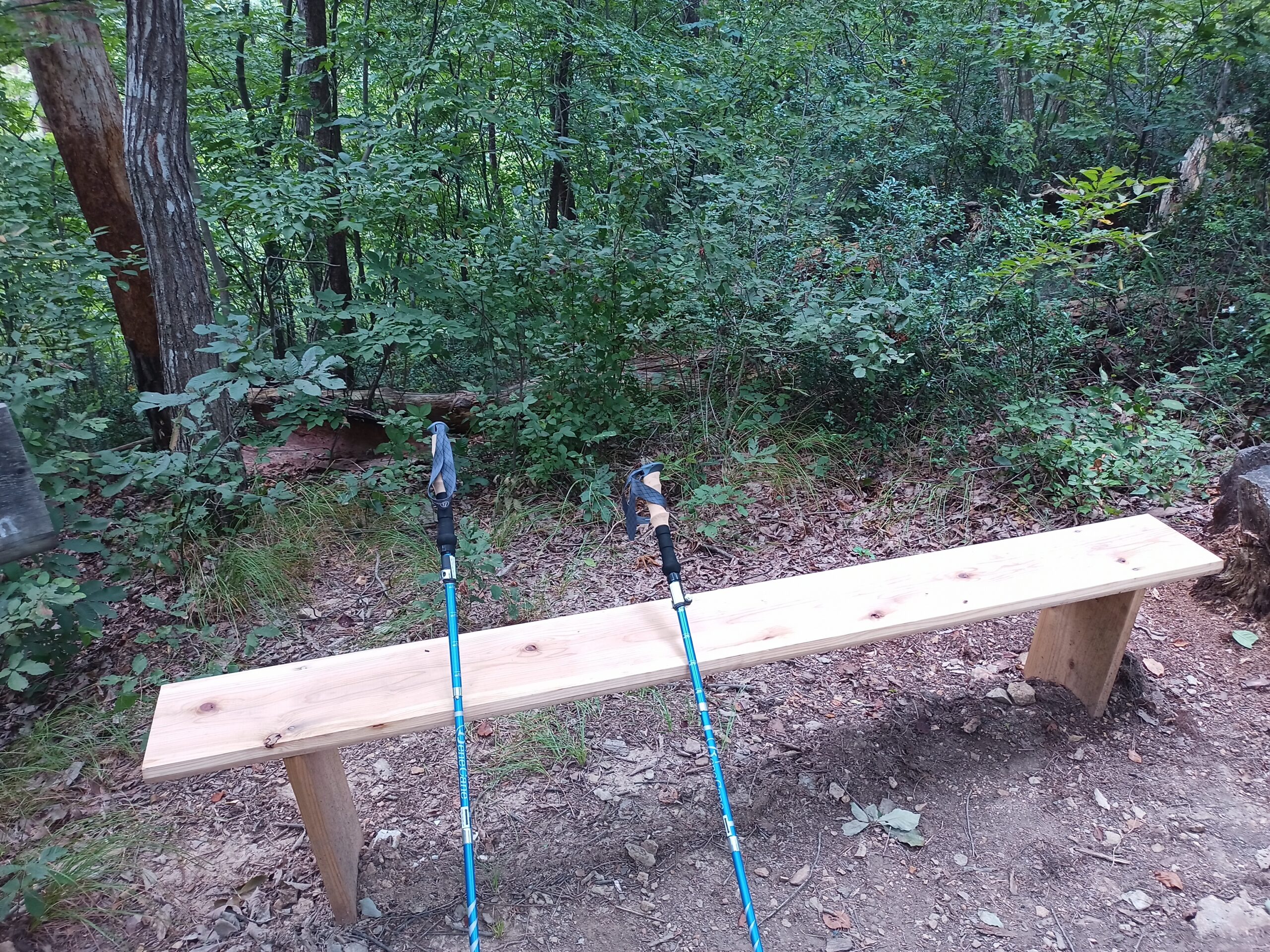 IMG_20230816_111603_207