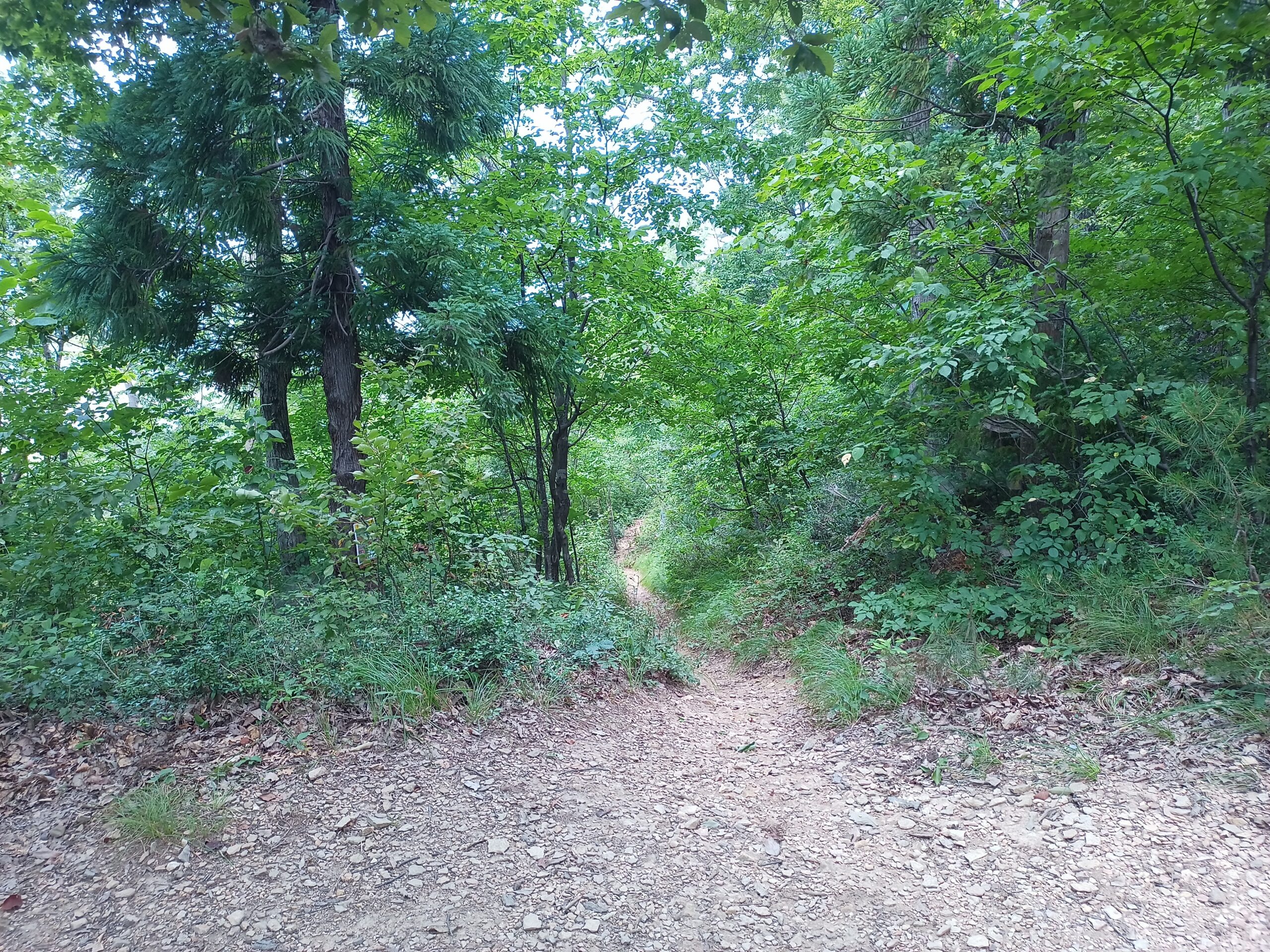 IMG_20230816_111607_518