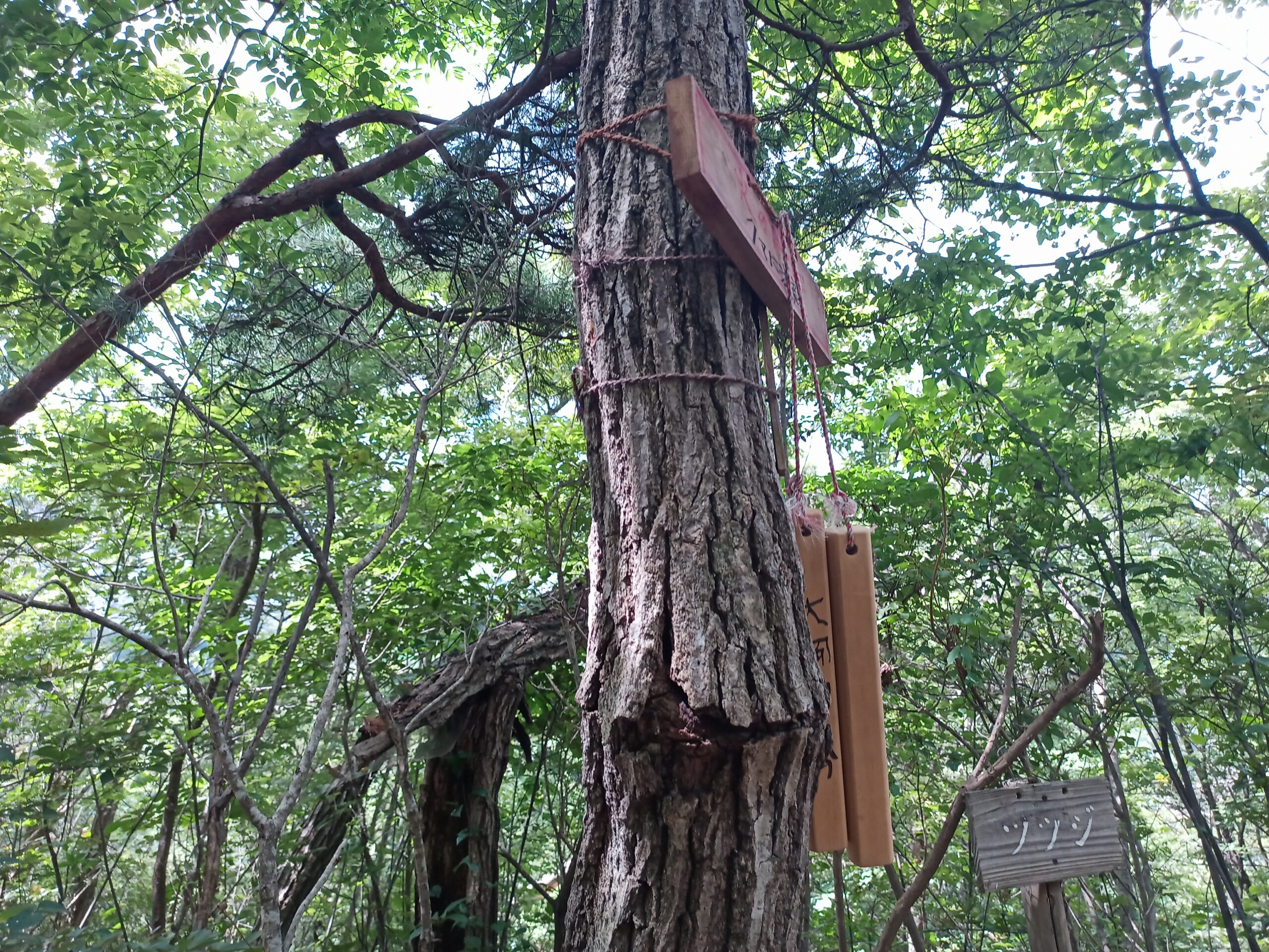 IMG_20230816_113240_325